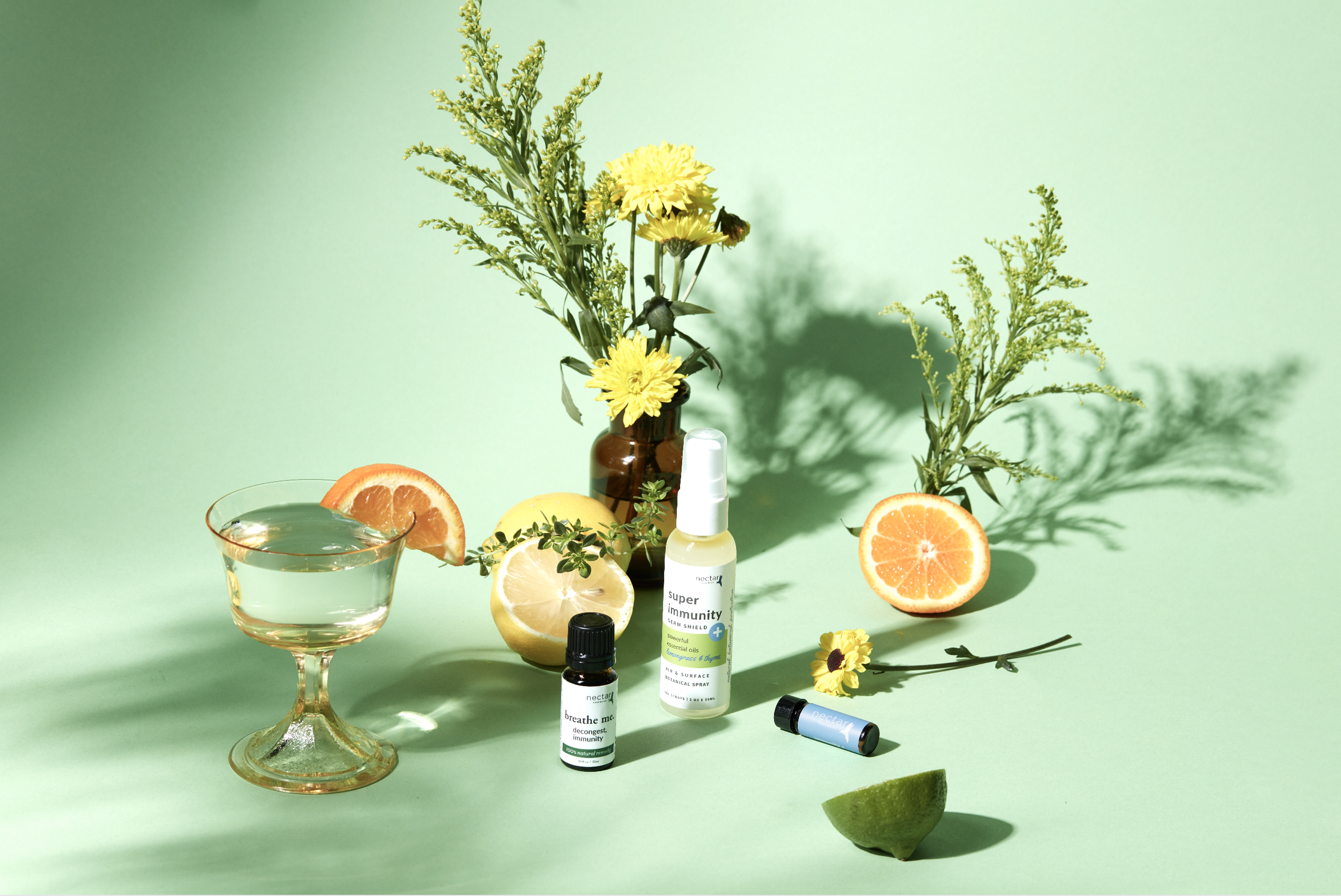 Screen Shot 2022-12-31 at 12.44.09 PM.png