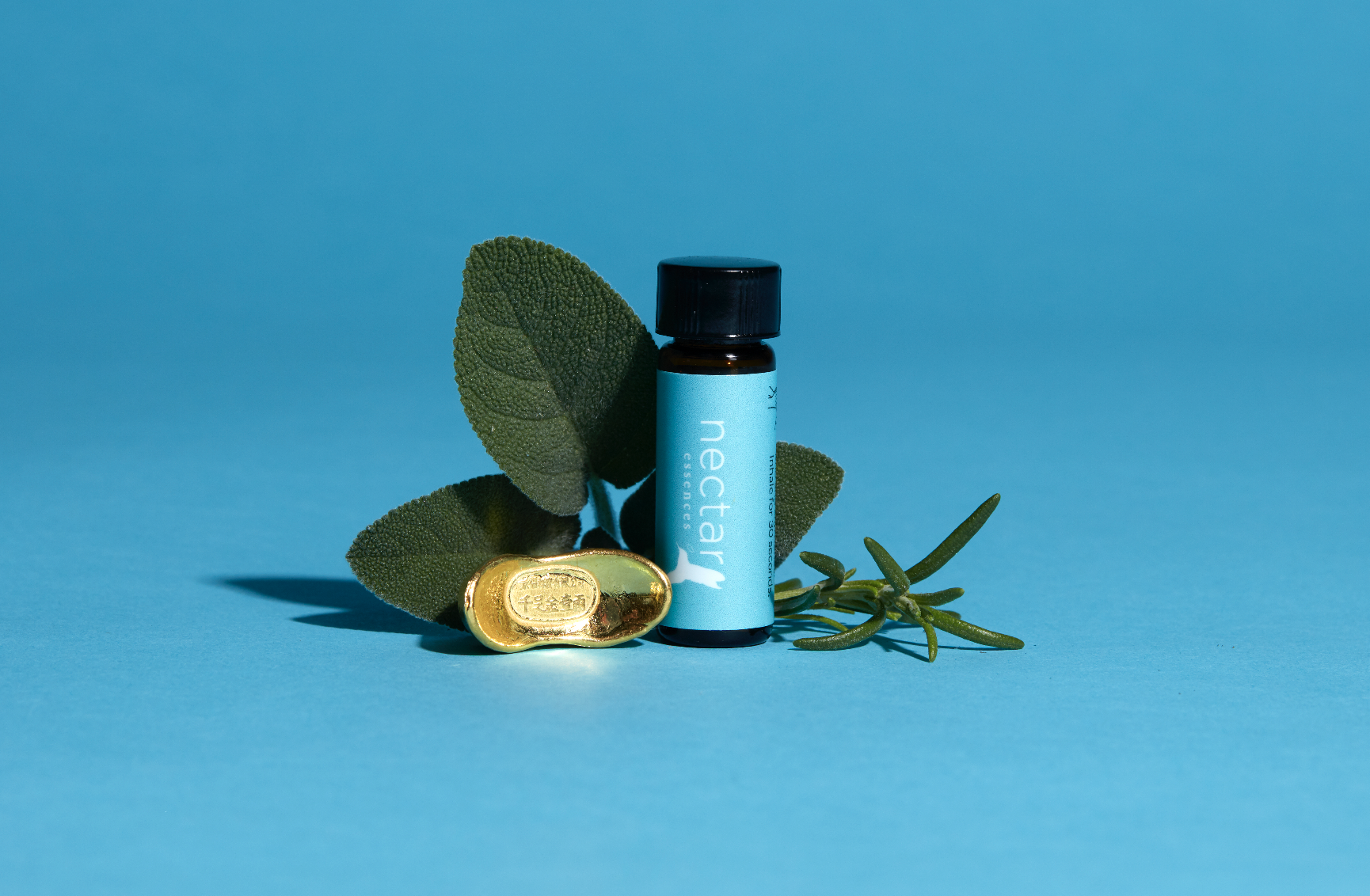 Screen Shot 2022-12-31 at 12.39.22 PM.png