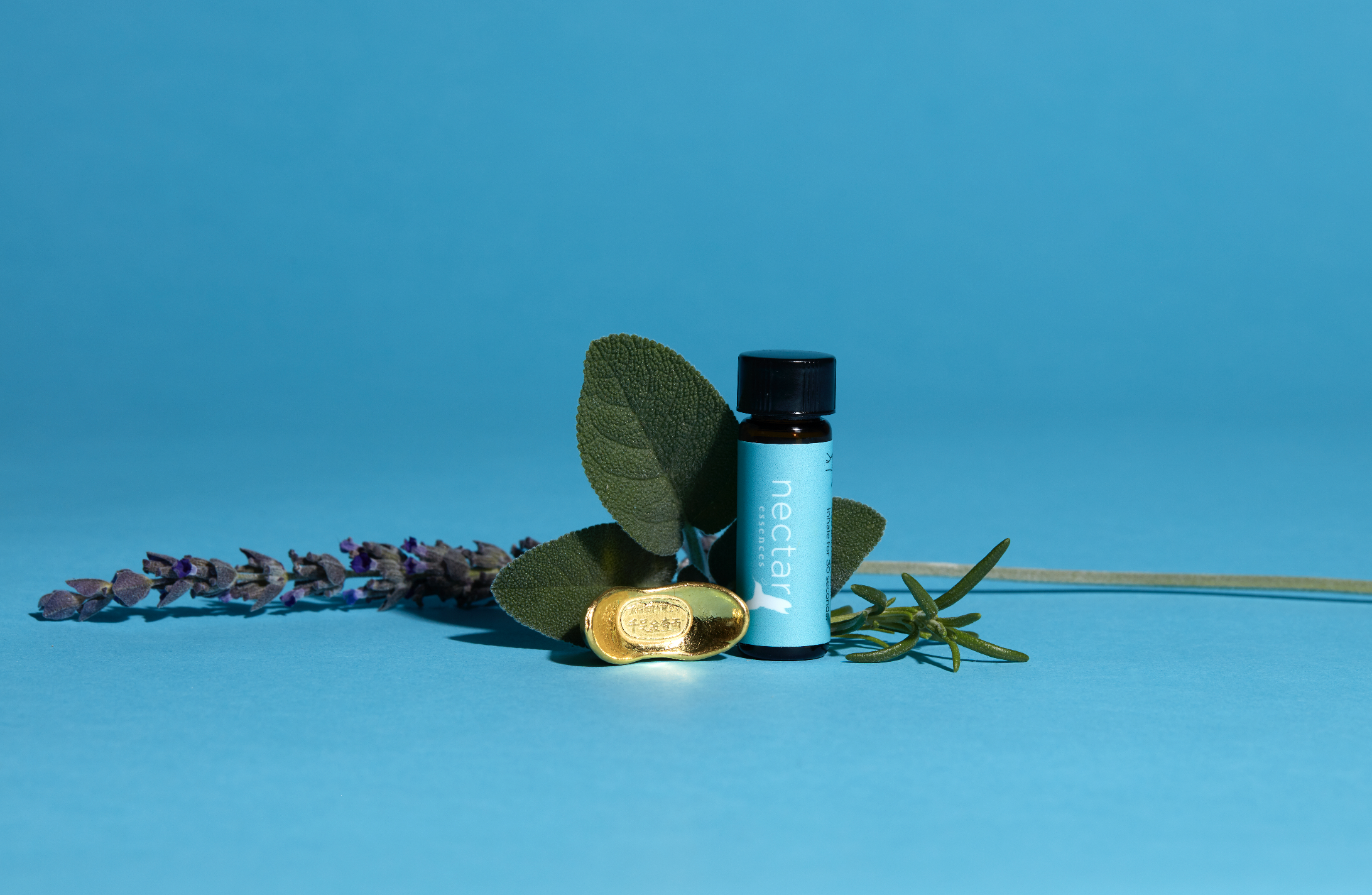 Screen Shot 2022-12-31 at 12.39.13 PM.png