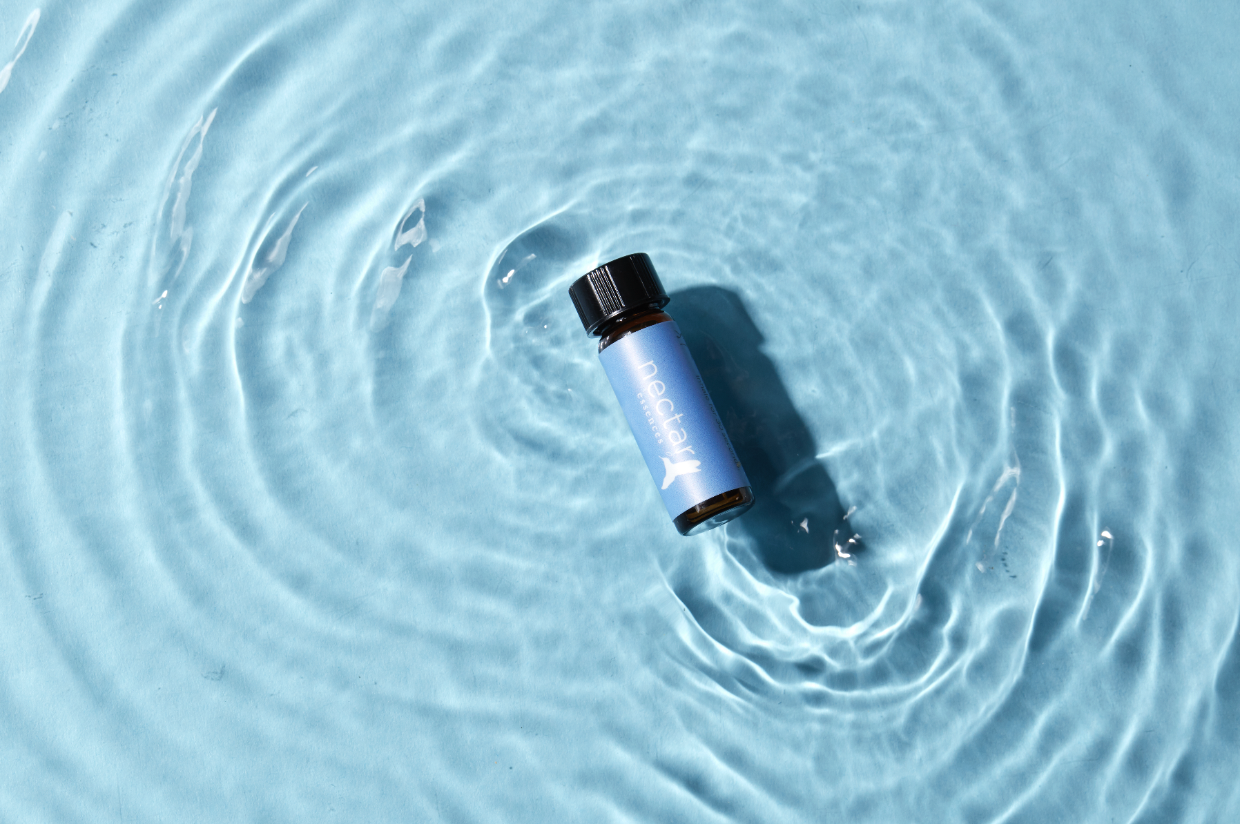 Screen Shot 2022-12-31 at 12.51.46 PM.png