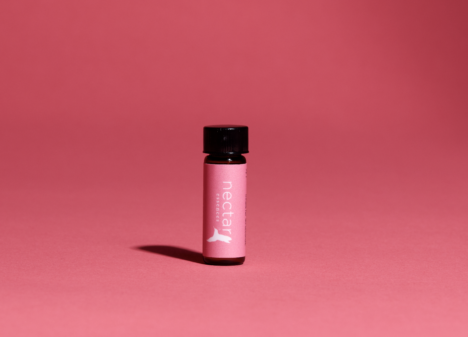 Screen Shot 2022-12-31 at 12.41.56 PM.png