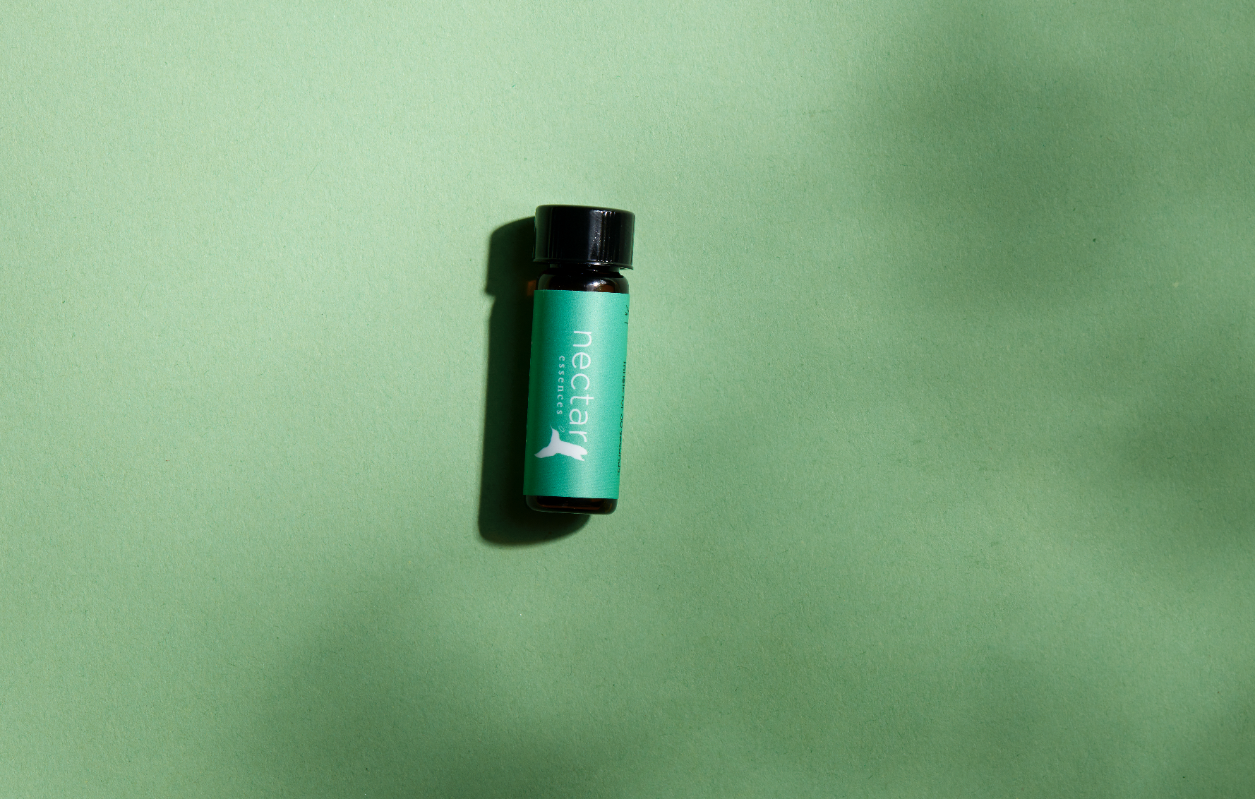 Screen Shot 2022-12-31 at 12.40.33 PM.png