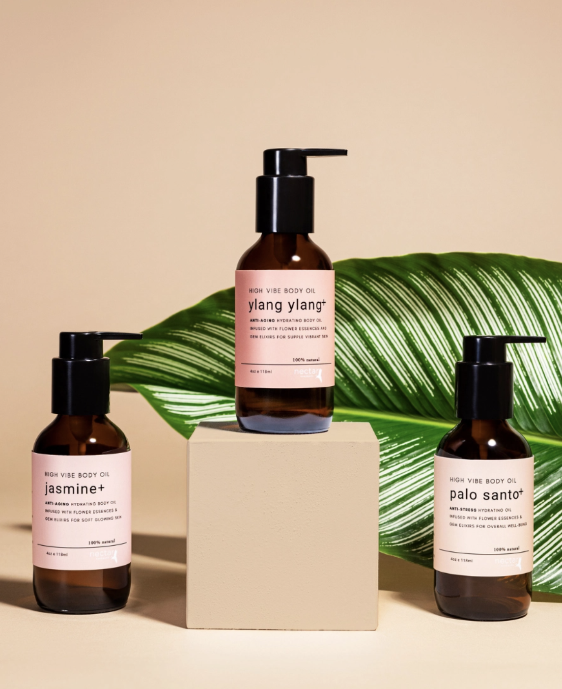 Screen Shot 2022-12-31 at 1.31.39 PM.png