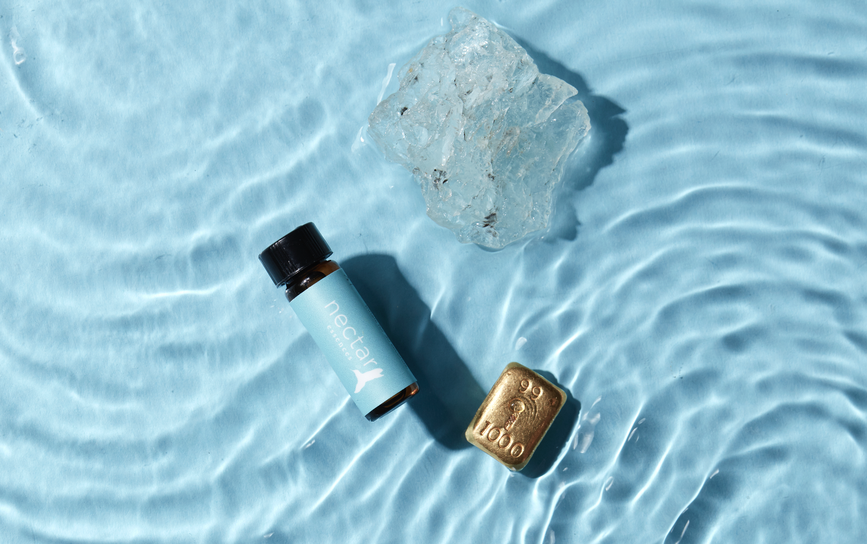 Screen Shot 2022-12-31 at 12.51.16 PM.png