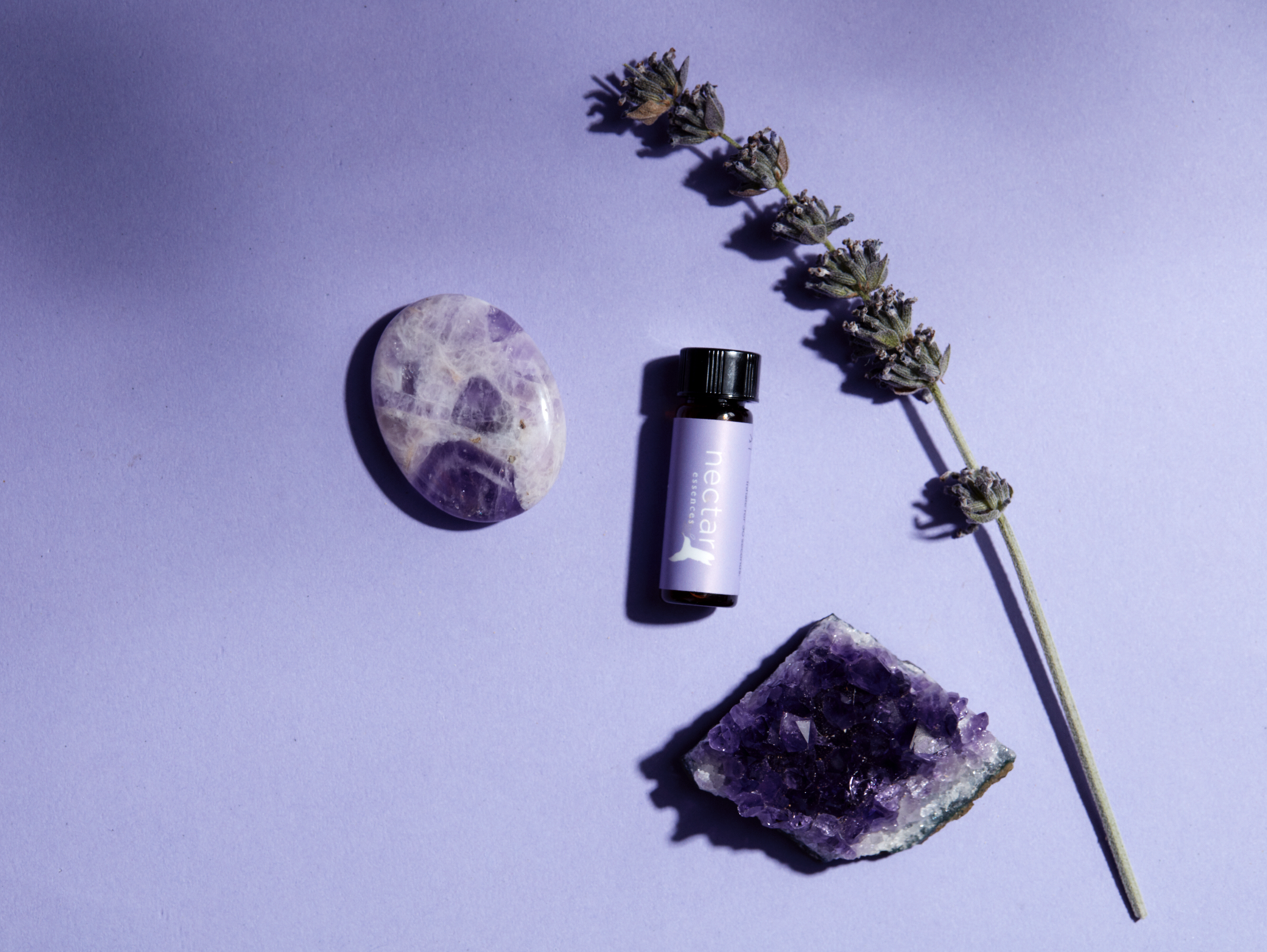 Screen Shot 2022-12-31 at 12.48.41 PM.png