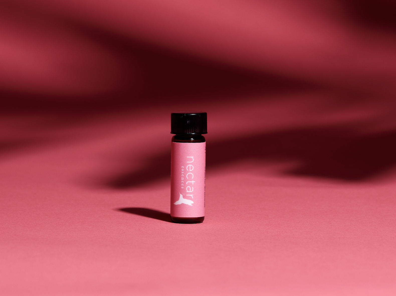 Screen Shot 2022-12-31 at 12.42.06 PM.png