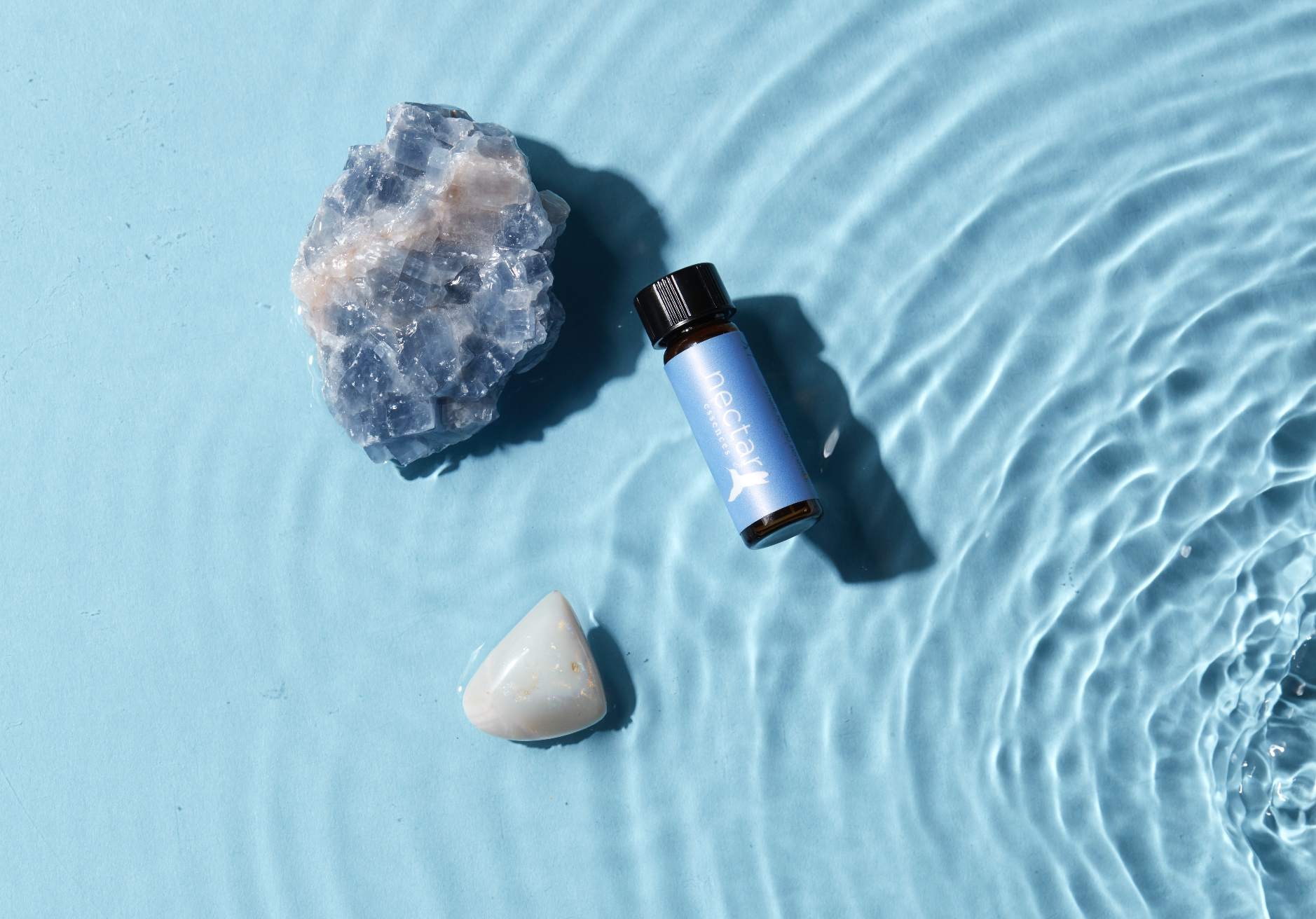 Screen Shot 2022-12-31 at 12.51.34 PM.png