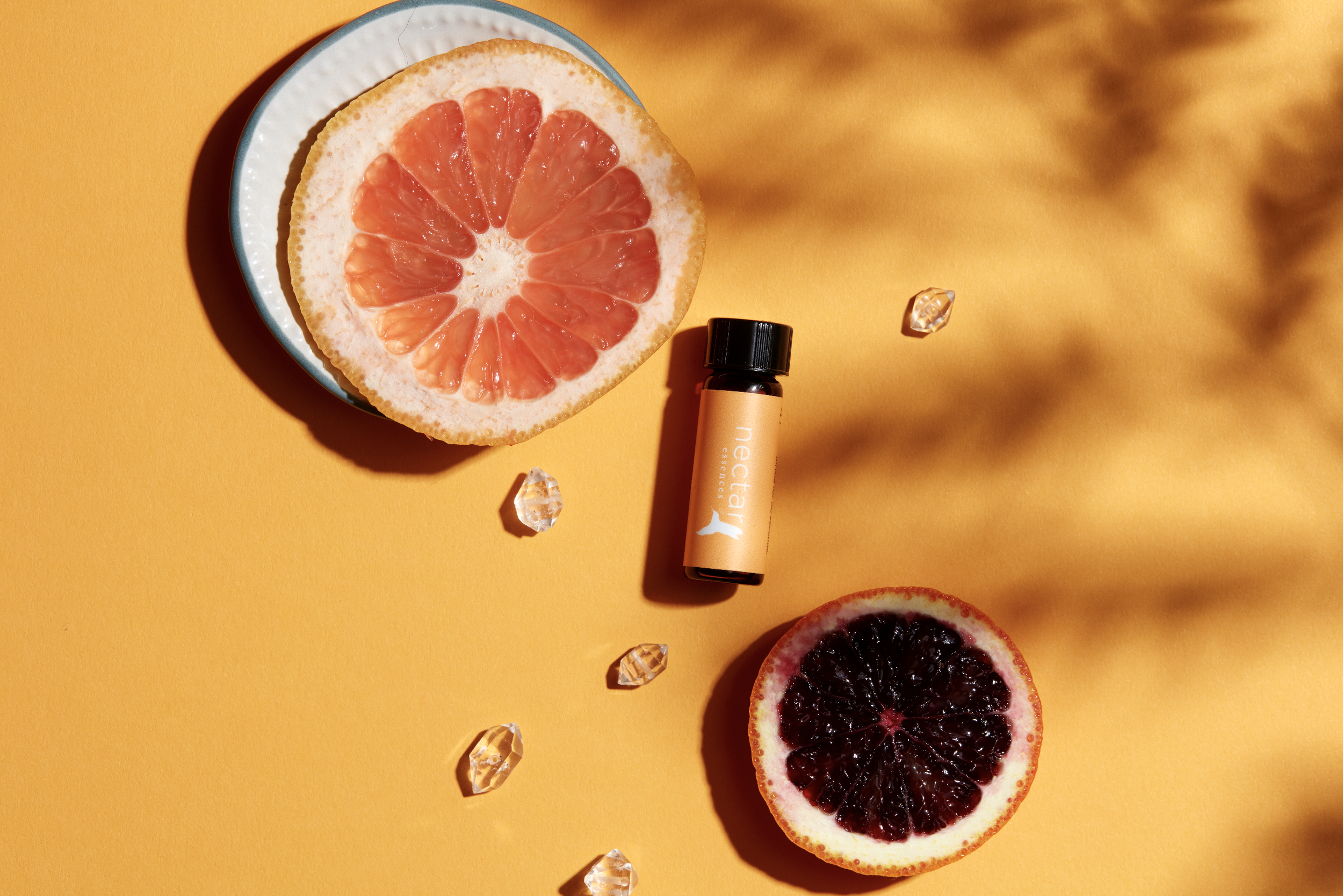 Screen Shot 2022-12-31 at 12.44.49 PM.png