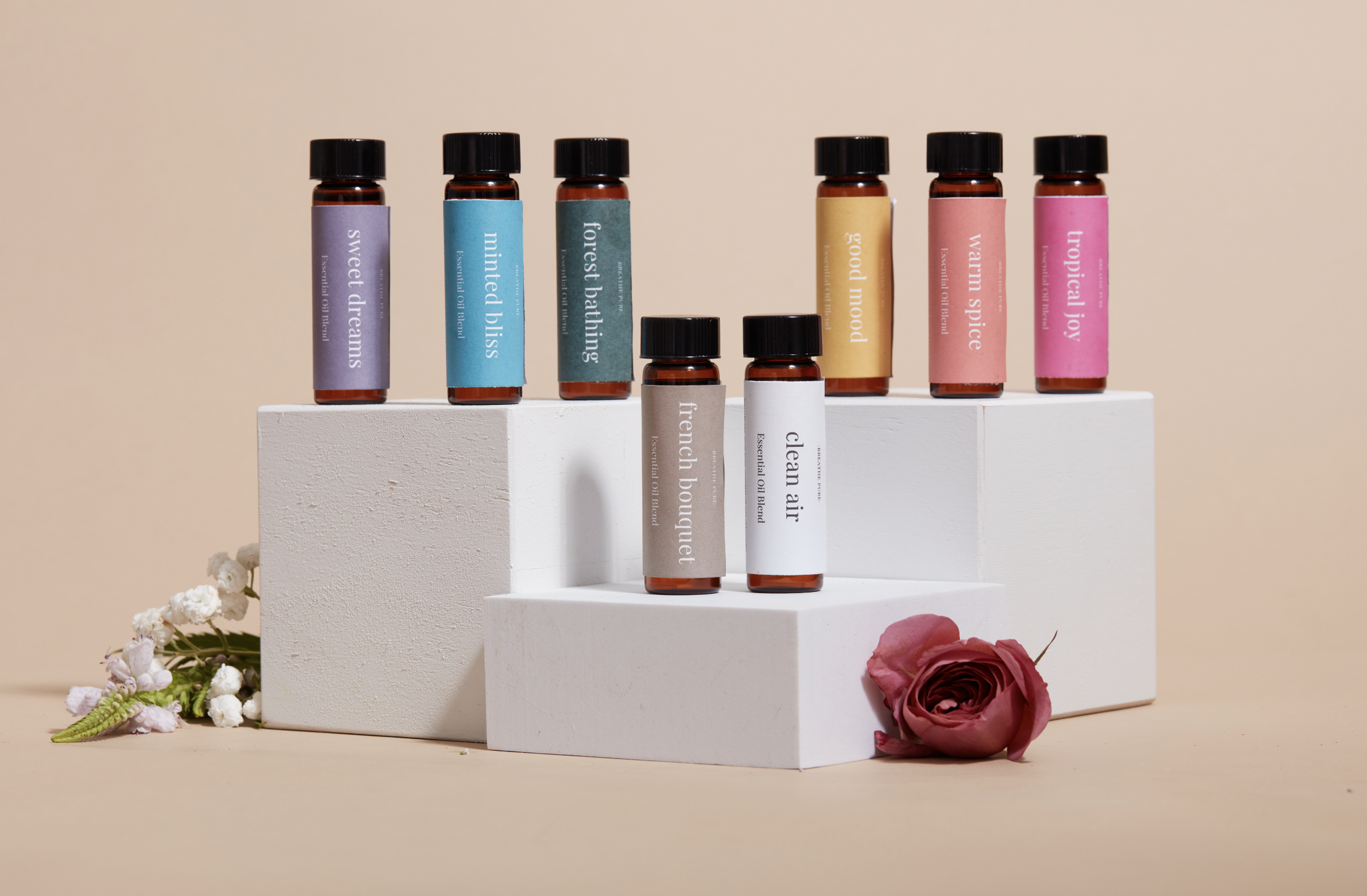 Screen Shot 2022-12-31 at 12.54.00 PM.png