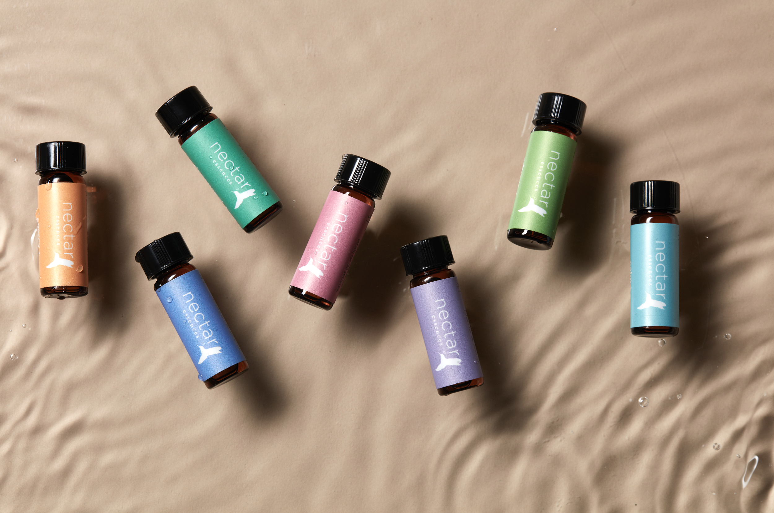 Screen Shot 2022-12-31 at 12.49.41 PM.png