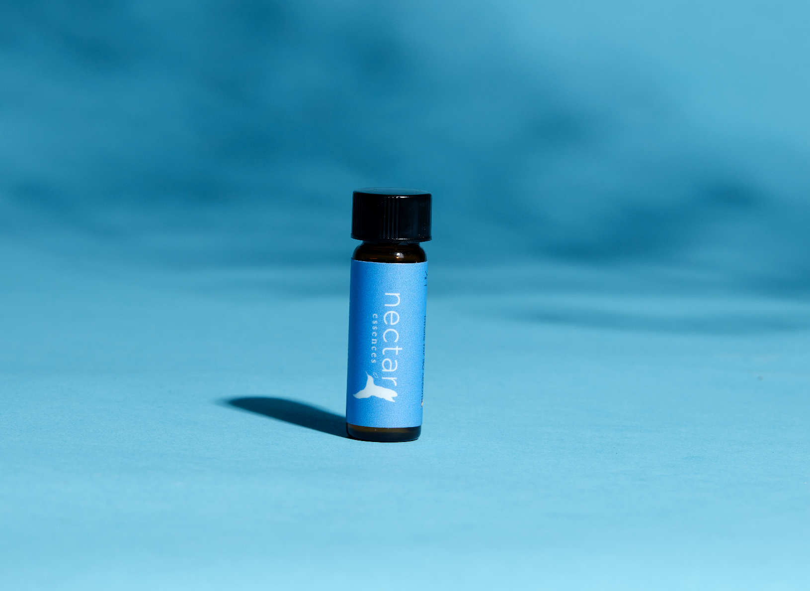 Screen Shot 2022-12-31 at 12.45.33 PM.png