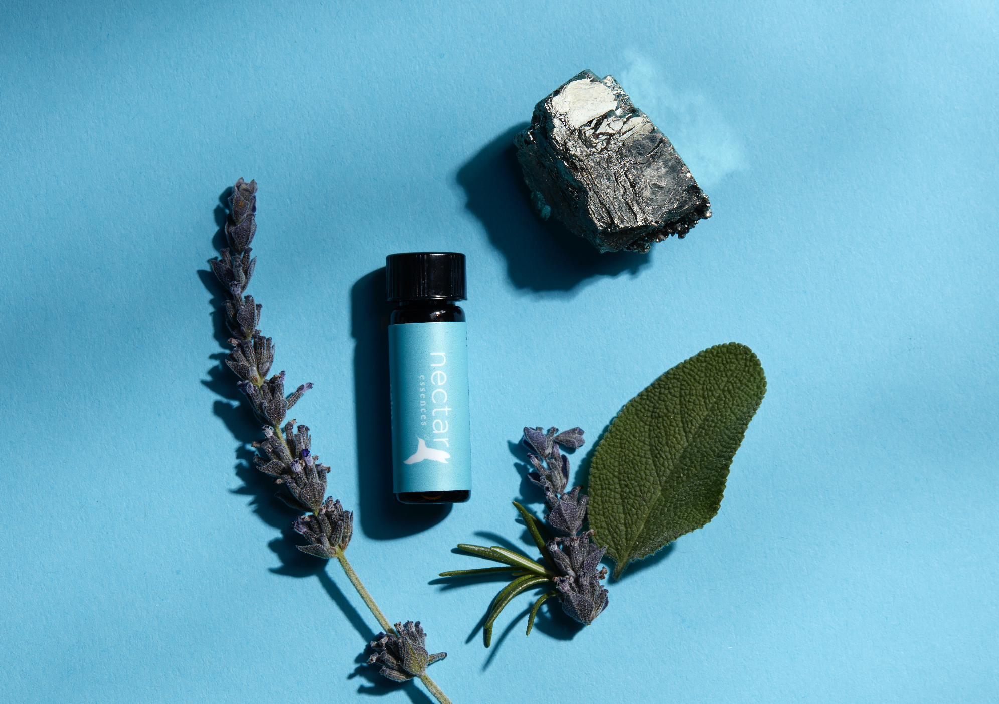 Screen Shot 2022-12-31 at 12.39.47 PM.png