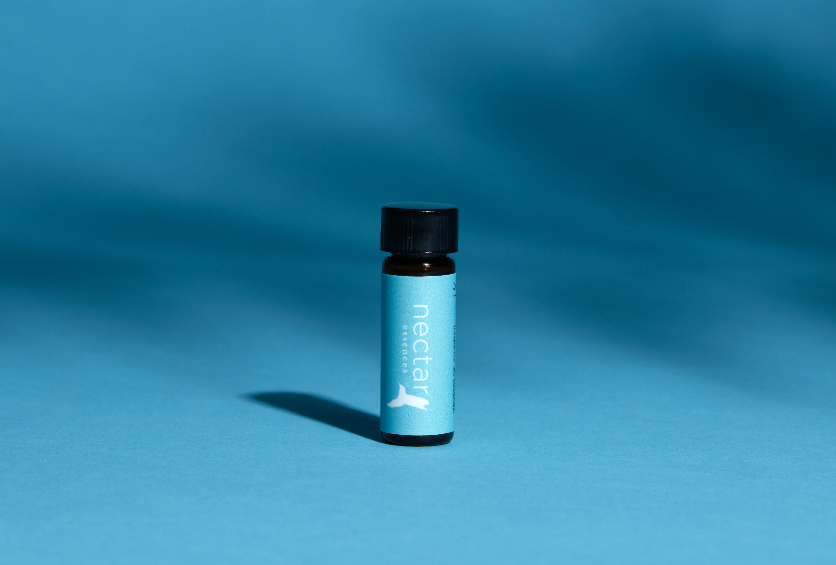 Screen Shot 2022-12-31 at 12.39.02 PM.png