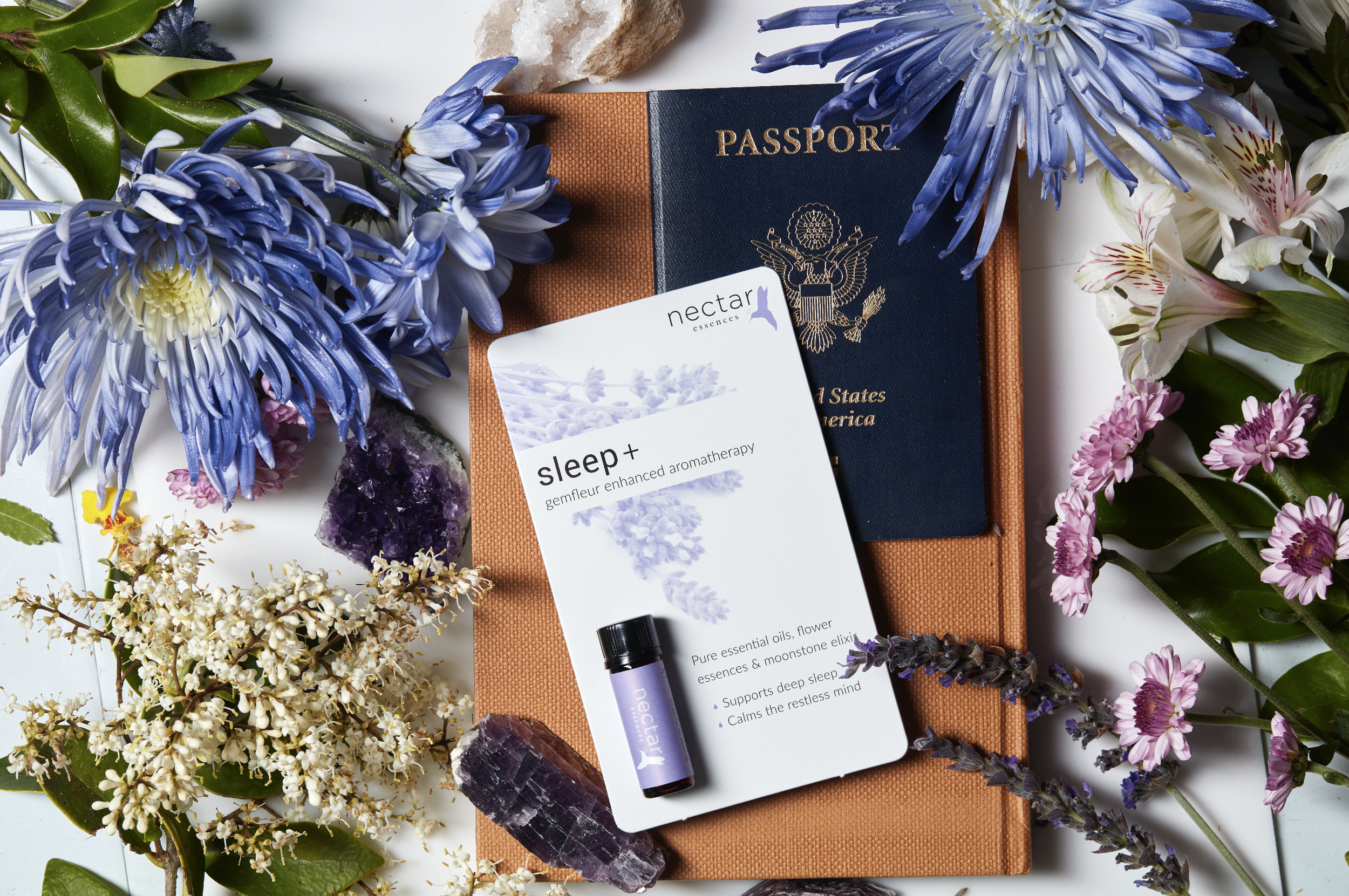 Screen Shot 2022-12-31 at 12.37.42 PM.png