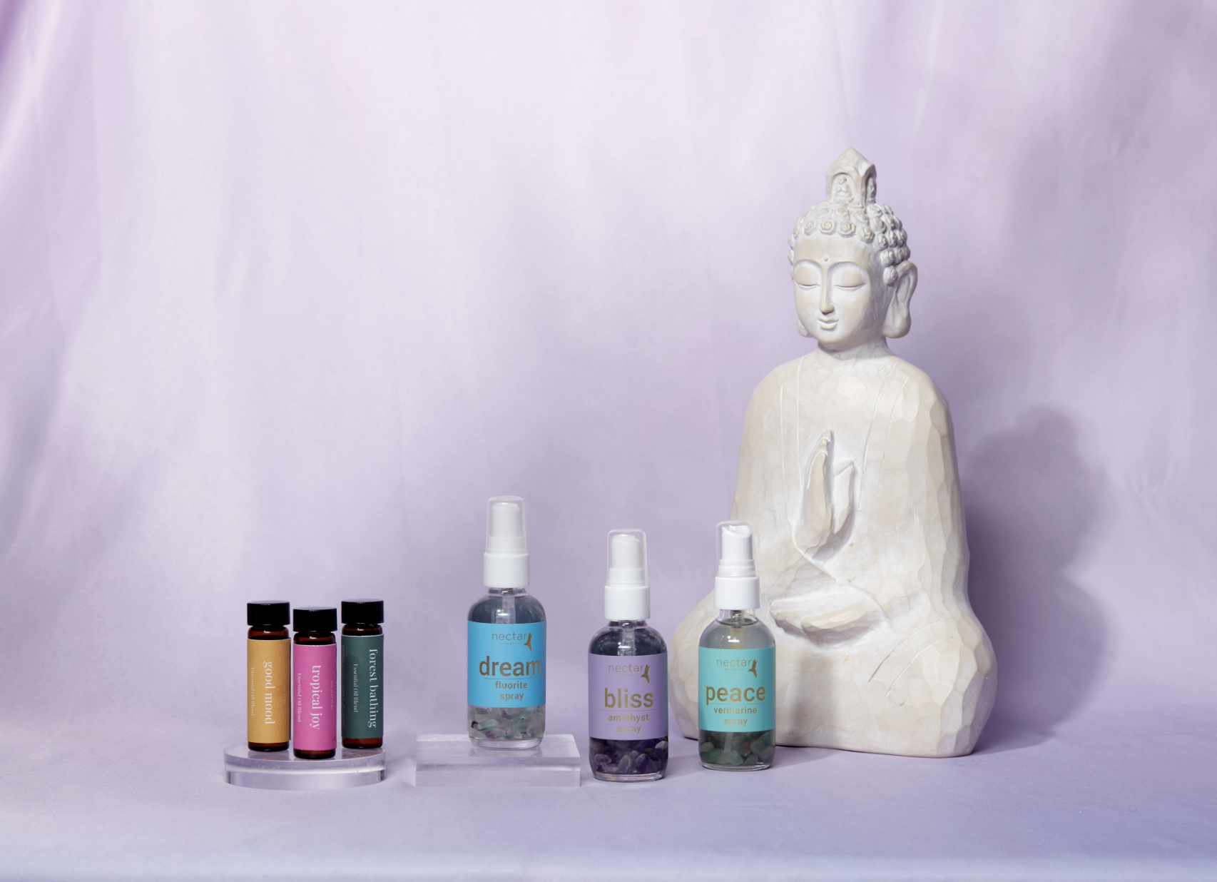 Screen Shot 2022-12-28 at 11.10.26 AM.png