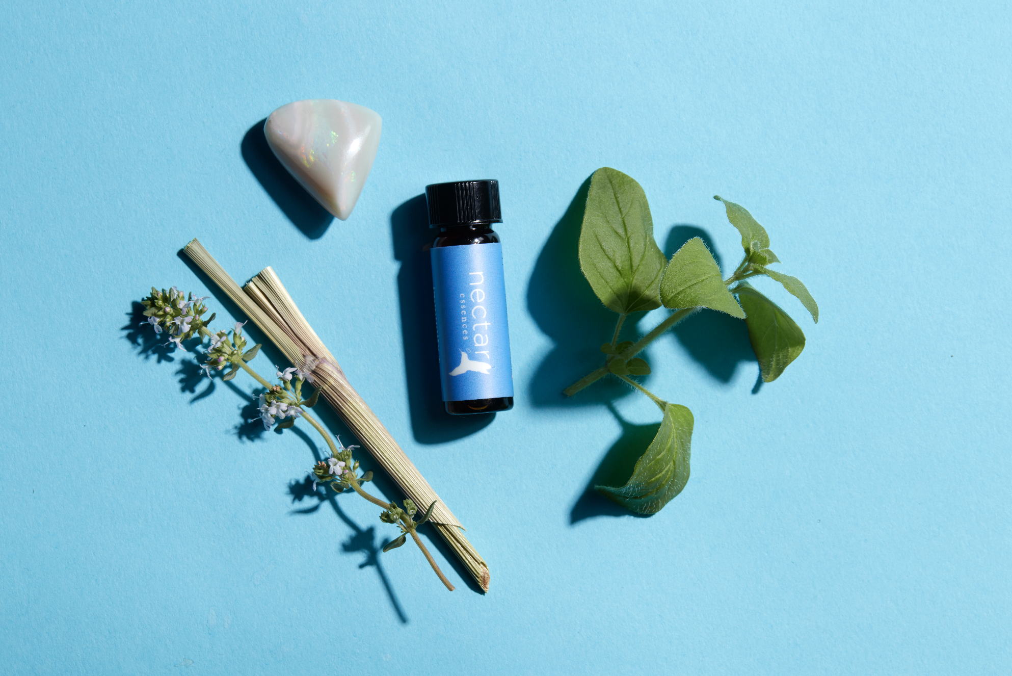 Screen Shot 2022-12-31 at 12.45.16 PM.png