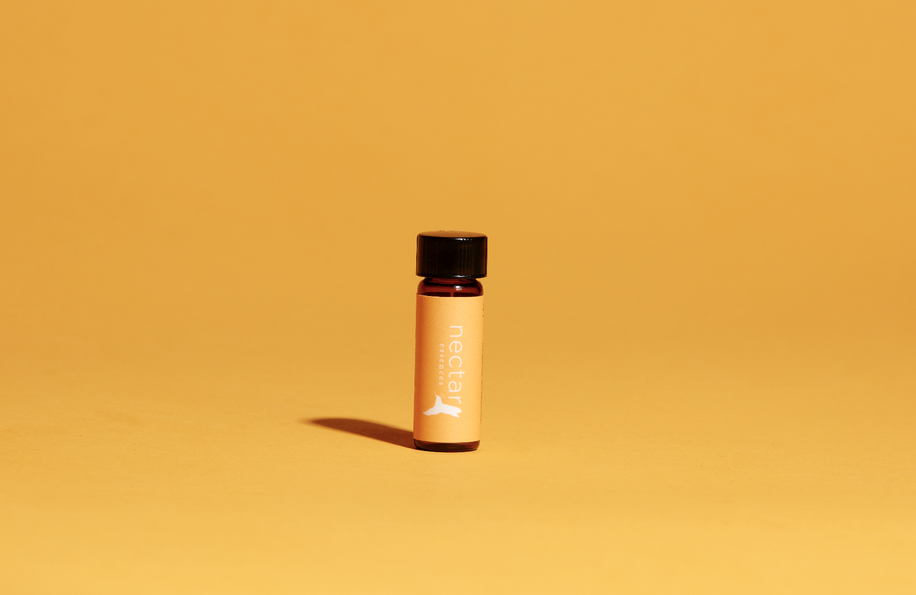 Screen Shot 2022-12-31 at 12.44.55 PM.png