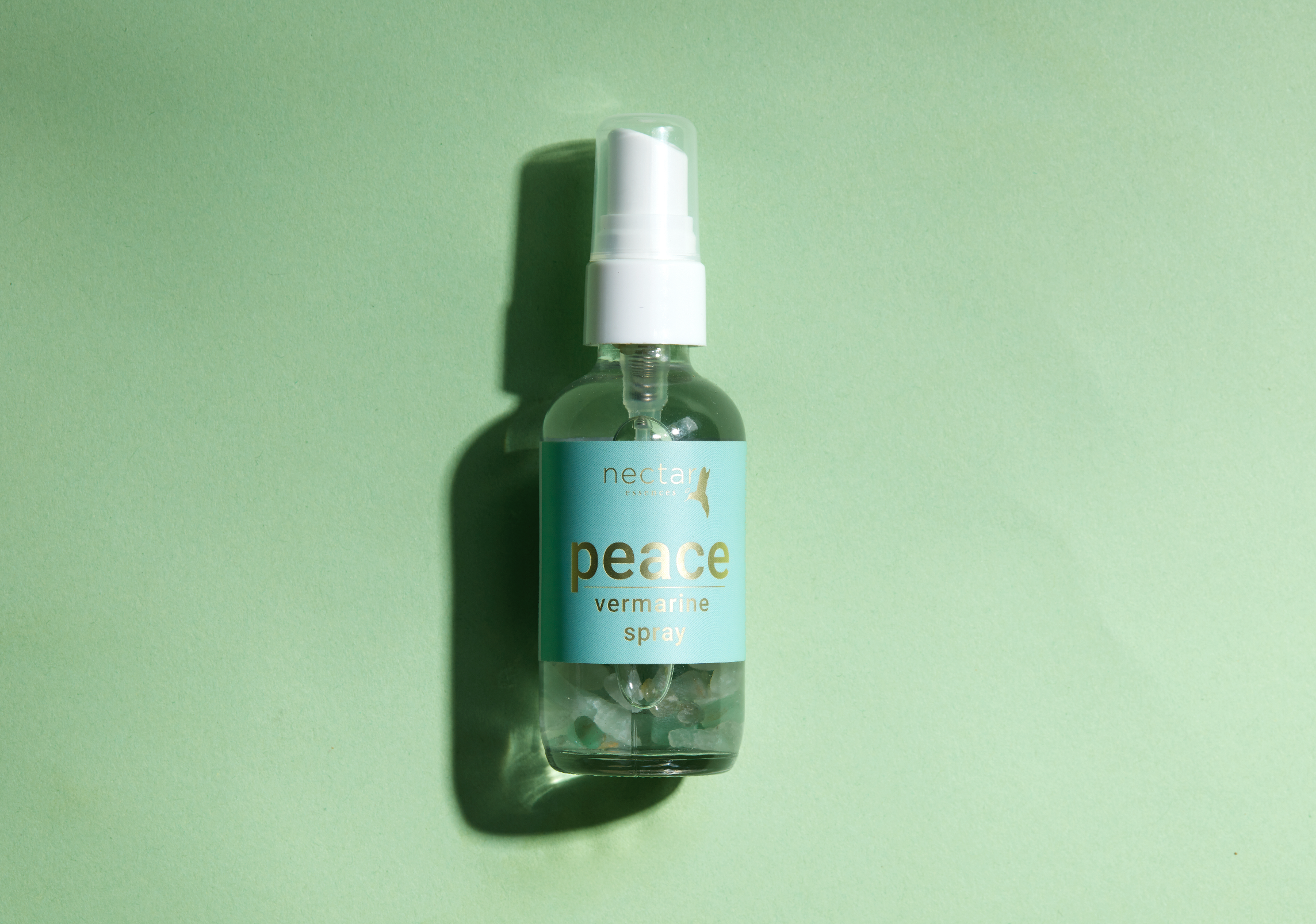 Screen Shot 2022-12-31 at 12.47.03 PM.png