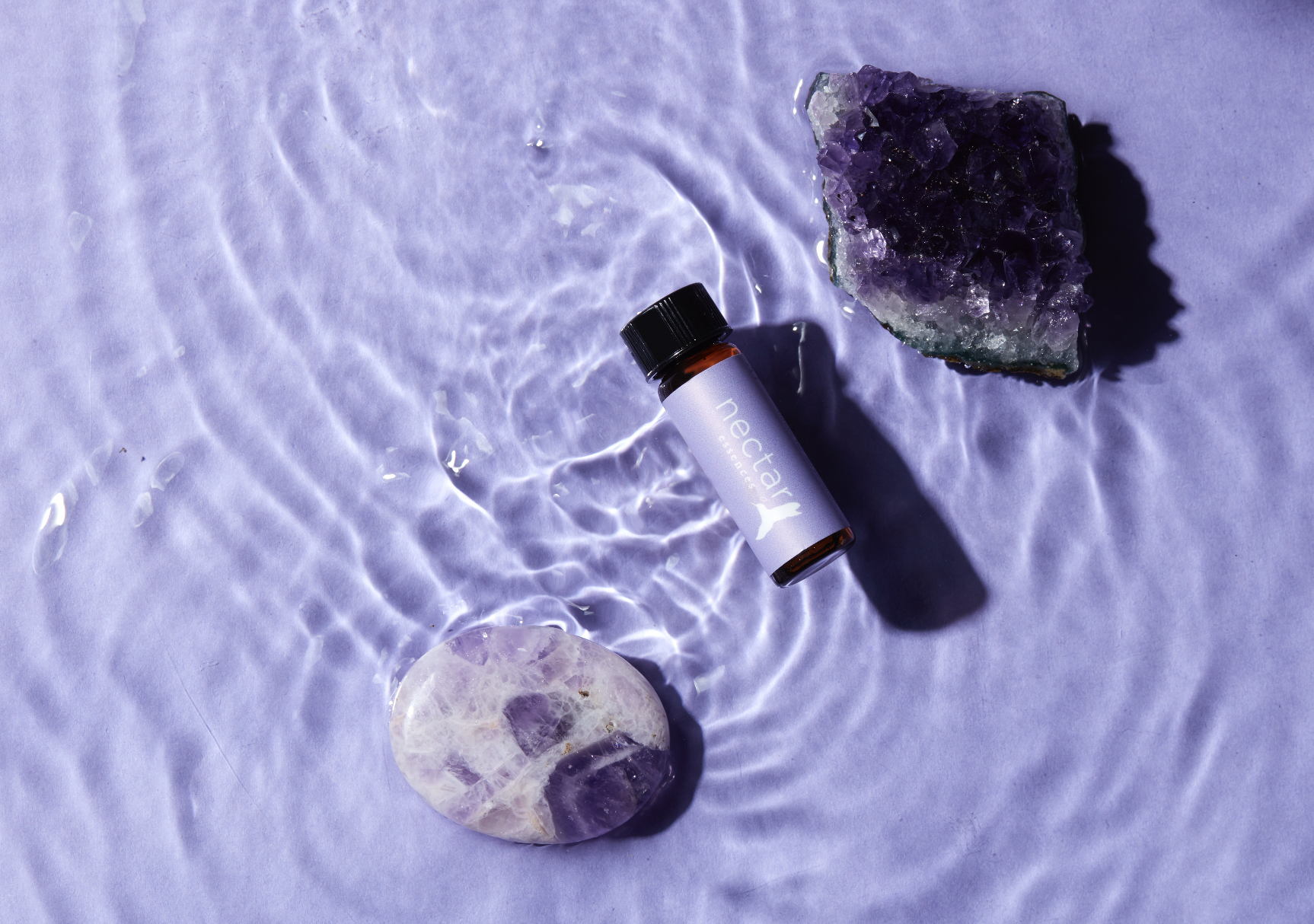 Screen Shot 2022-12-31 at 12.52.41 PM.png