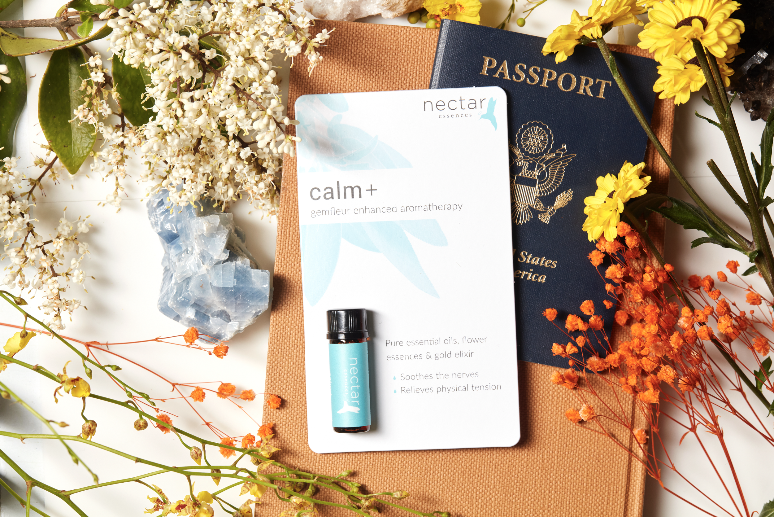 Screen Shot 2022-12-31 at 12.37.24 PM.png