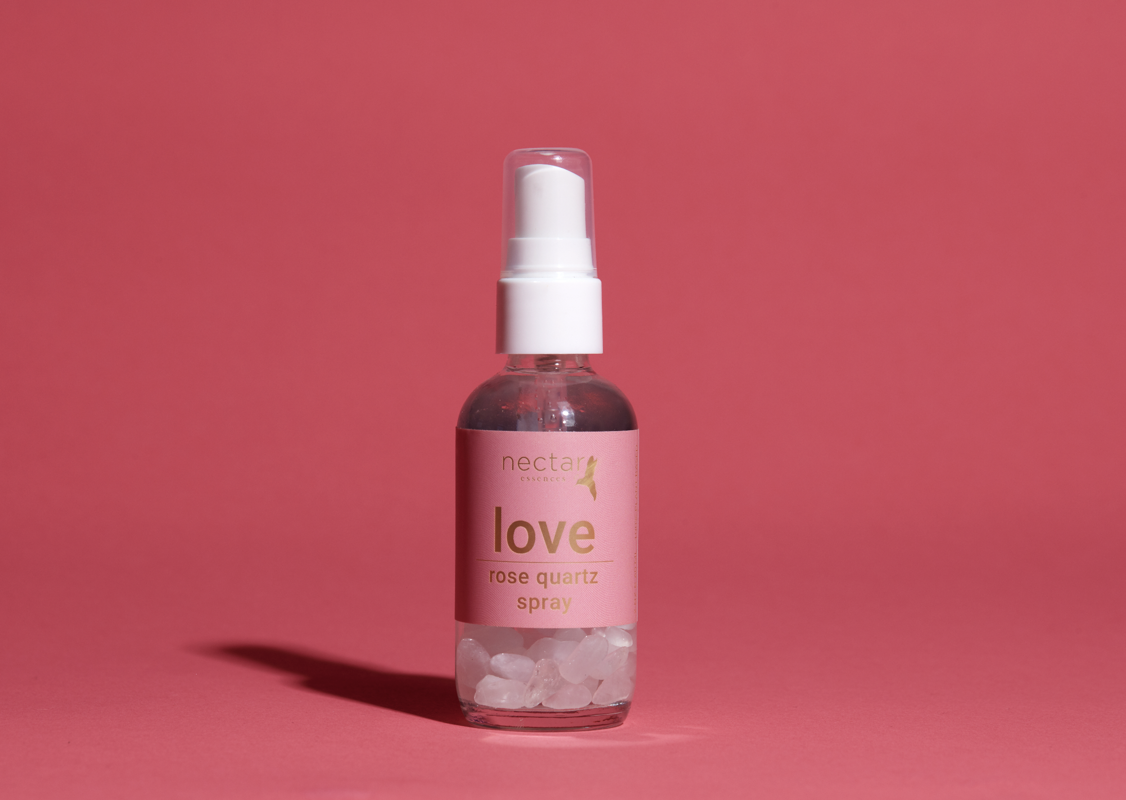 Screen Shot 2022-12-31 at 12.46.06 PM.png