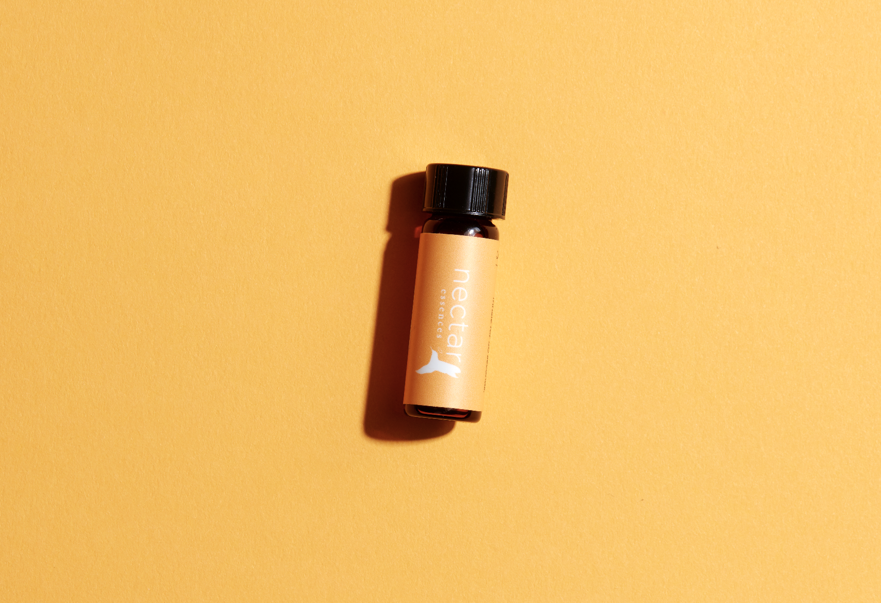 Screen Shot 2022-12-31 at 12.44.26 PM.png