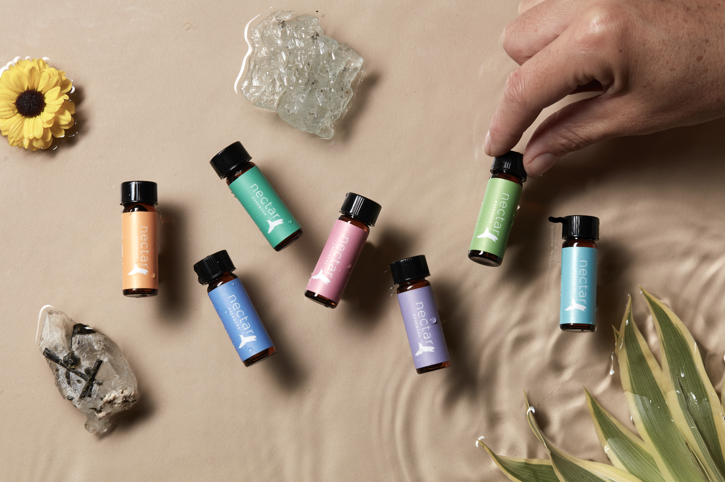 Screen Shot 2022-12-31 at 12.50.02 PM.png