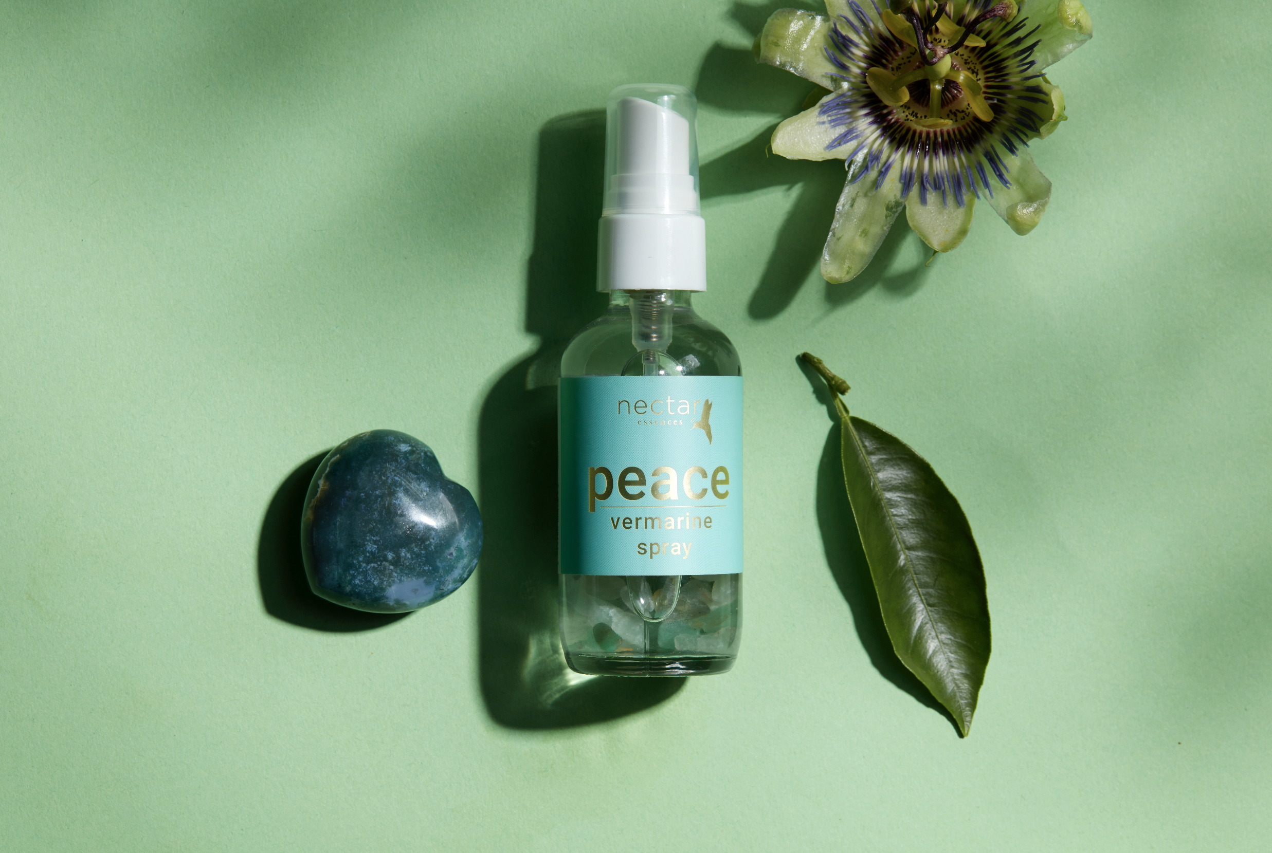 Screen Shot 2022-12-31 at 12.47.27 PM.png