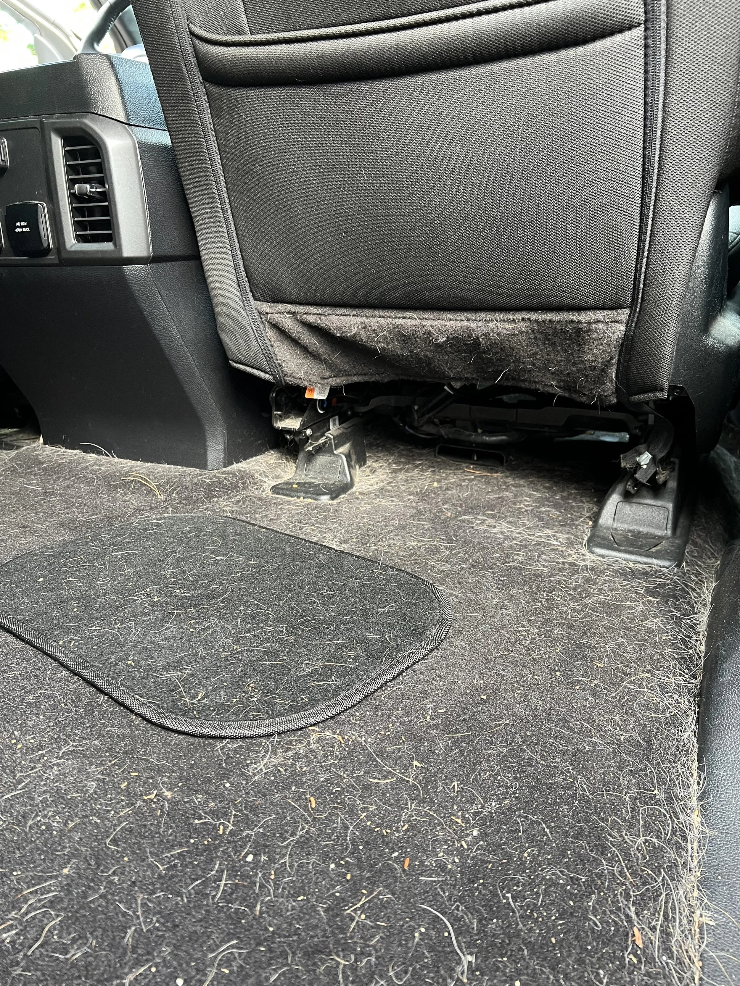 Inside the back of a vehicle, showing a dirty, pet hair- and lint-covered black carpeted floor and the back of a seat with a frayed fabric pocket.