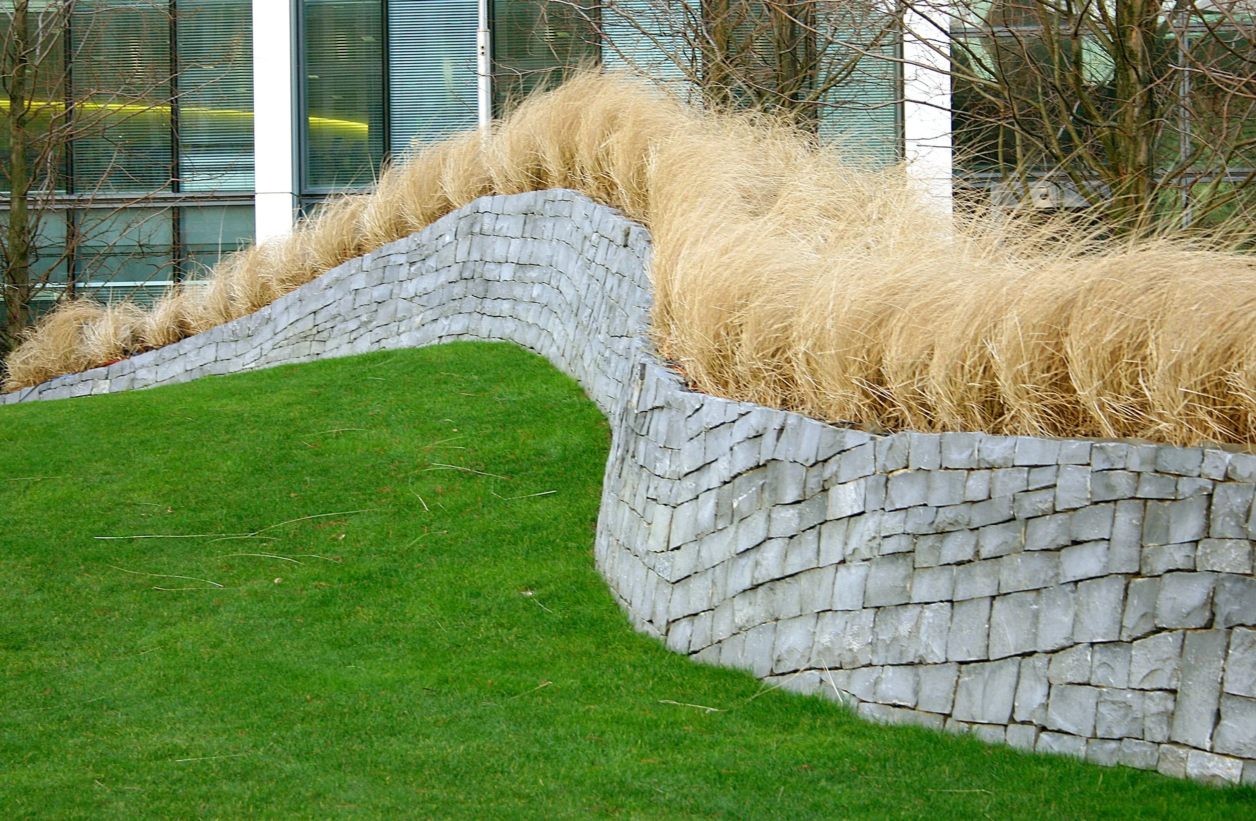 A landscaped area features a stone retaining wall with a curved design, with golden ornamental grasses behind it and a grass lawn in the foreground. Modern glass building and trees are in the background.
