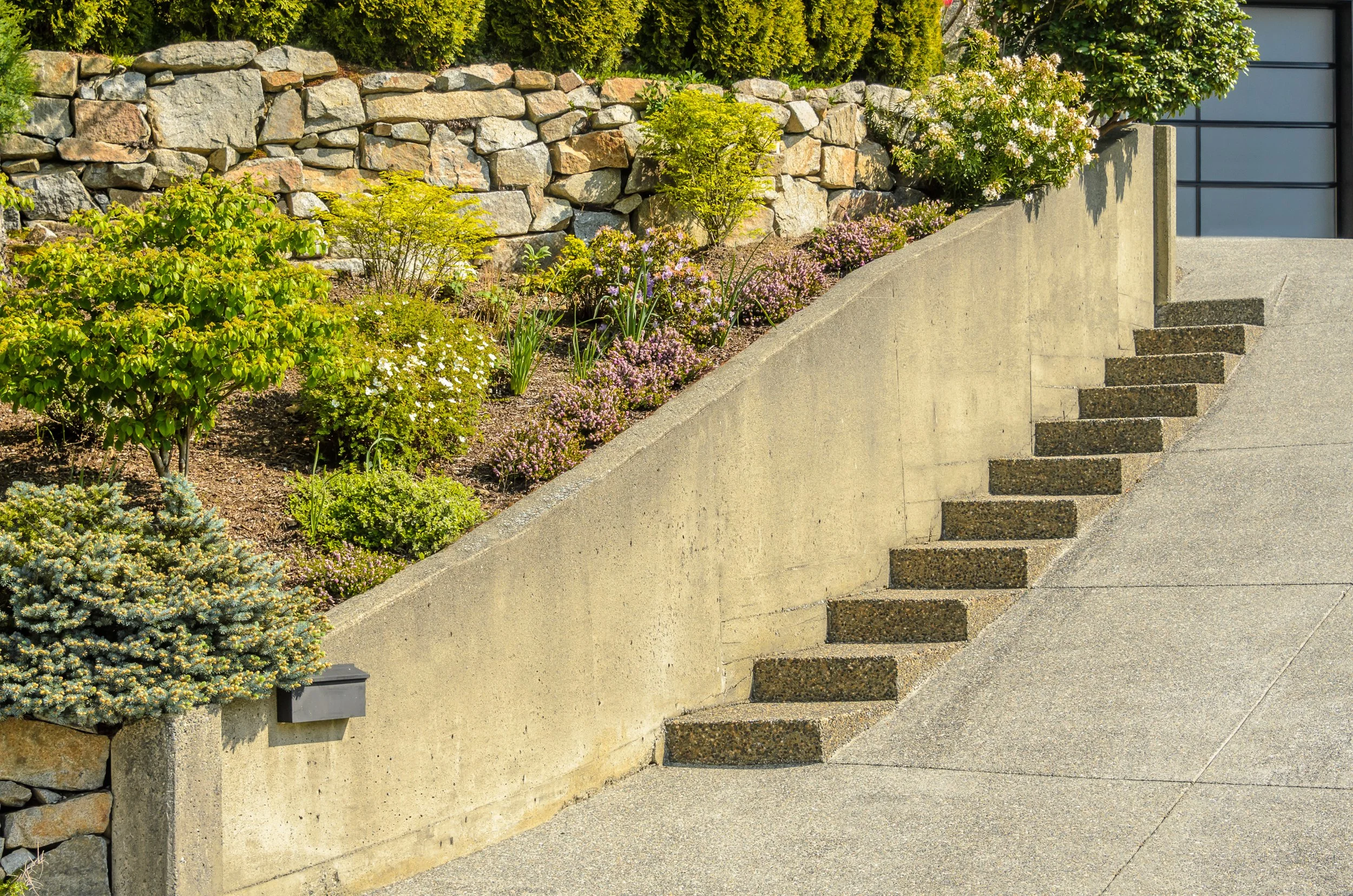Concrete staircase with small steps ascending alongside a landscaped garden, stone retaining wall, and various green plants.