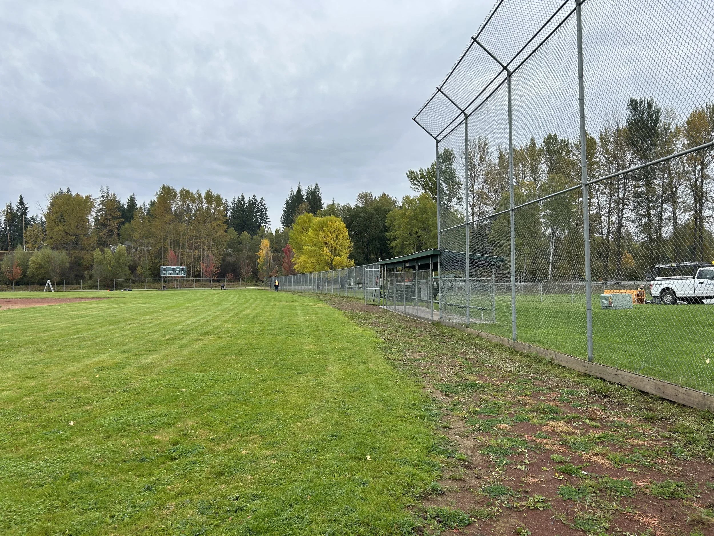 Empty baseball field and outfield with chain-link fence and trees in the background, cloudy sky.