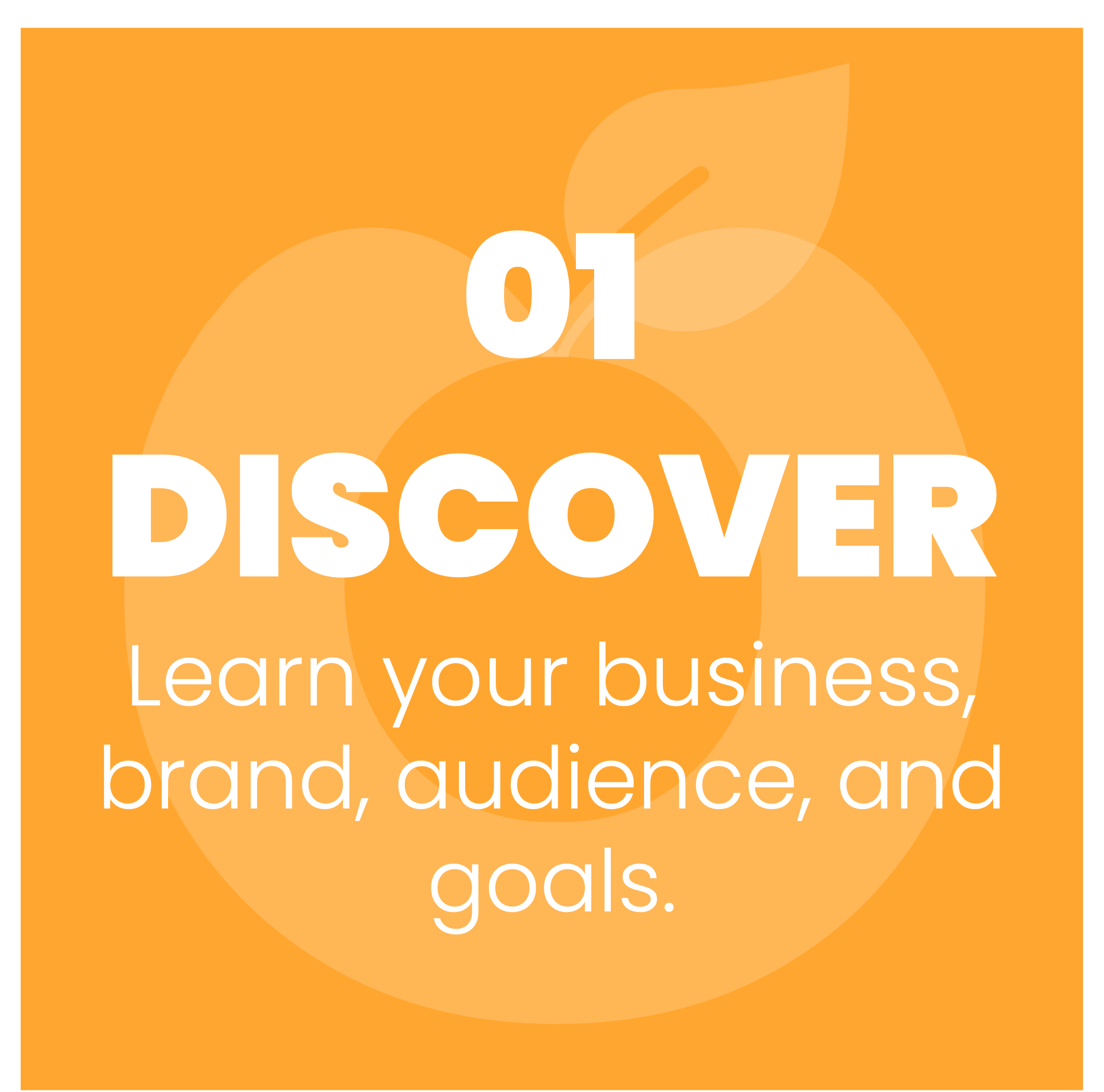 Learn your business, brand, audience, and goals.