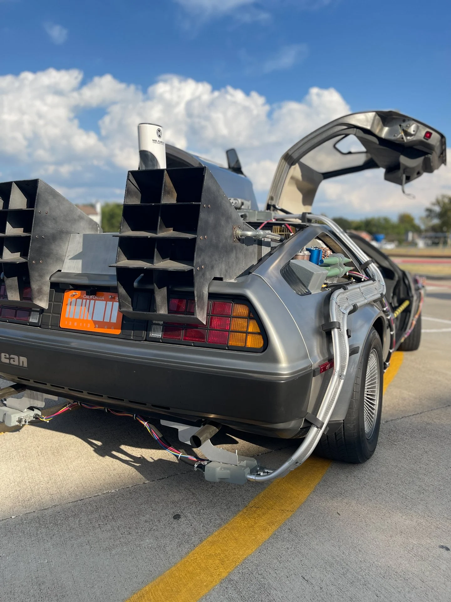 TIME MACHINE TEXAS DELOREAN BACK VIEW