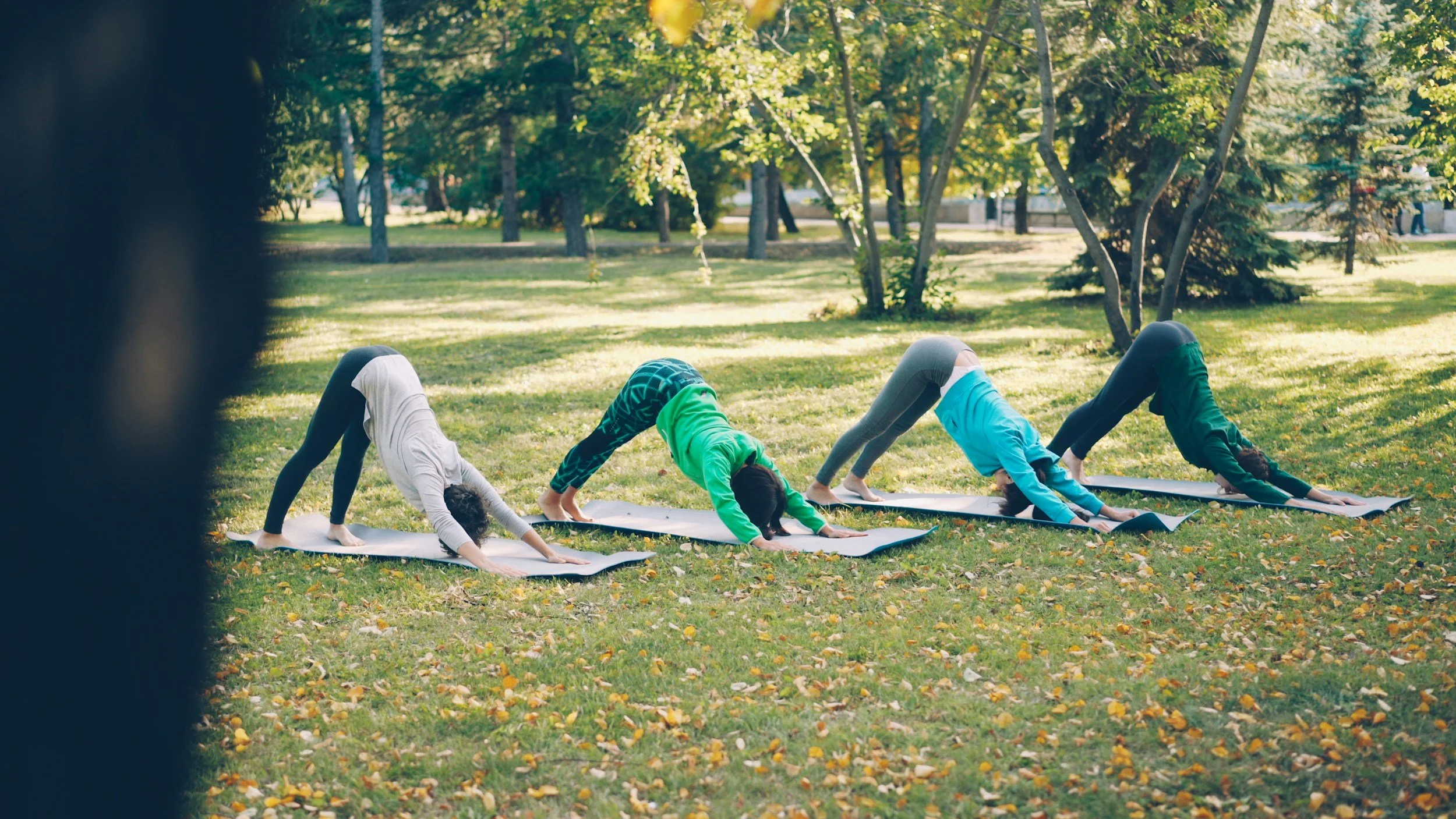 Four children practicing yoga outdoors on grassy ground with trees, in downward dog pose on yoga mats.