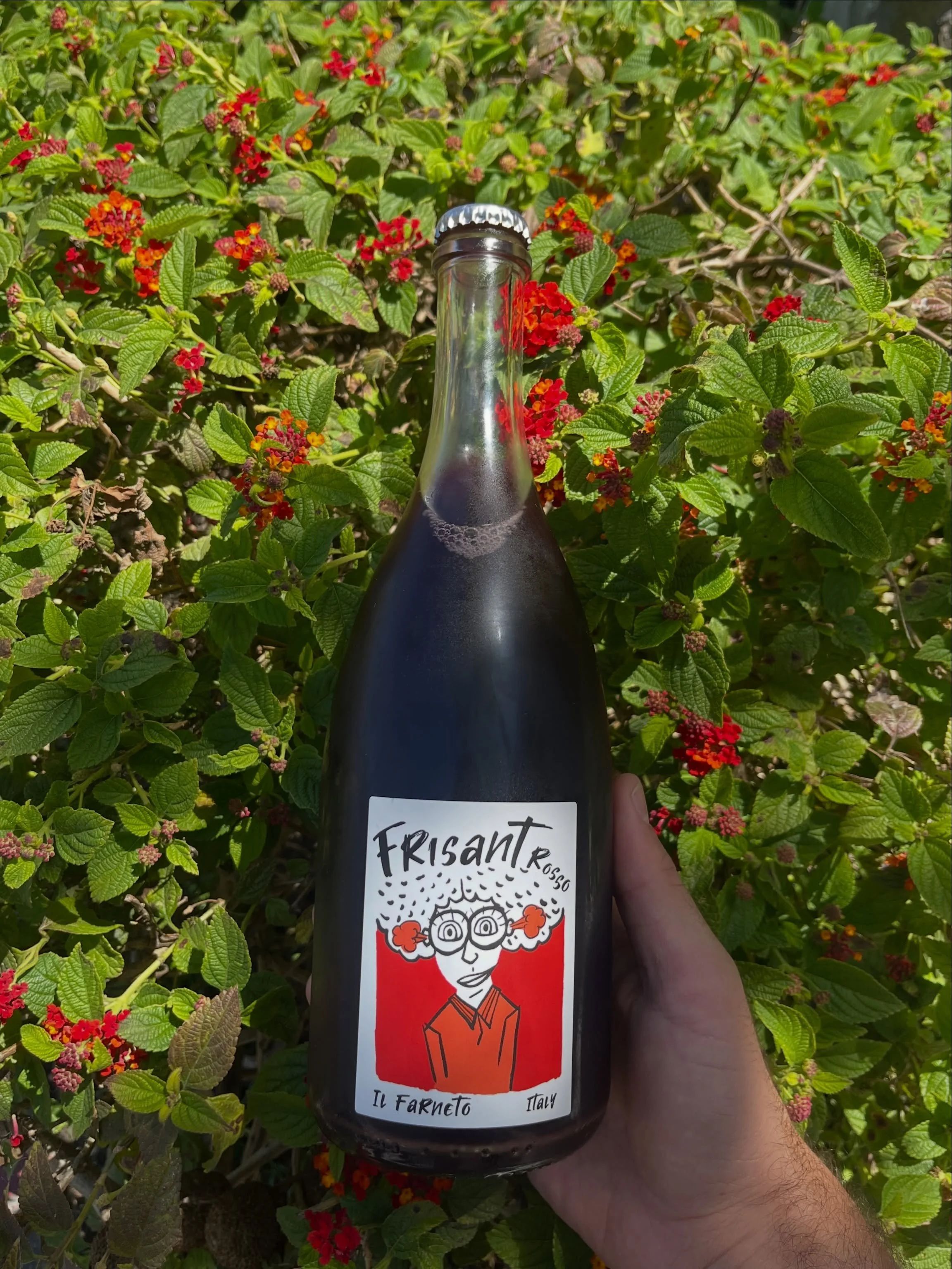 Just in - a lovely @ilfarneto_agricola Lambrusco red dry sparkling wine. Right on time as the warmer evenings of late Spring and early Summer begin to set in 🌇🌻

Hints of cherries and liquorice on the nose, red berries on the palate, and a refreshi