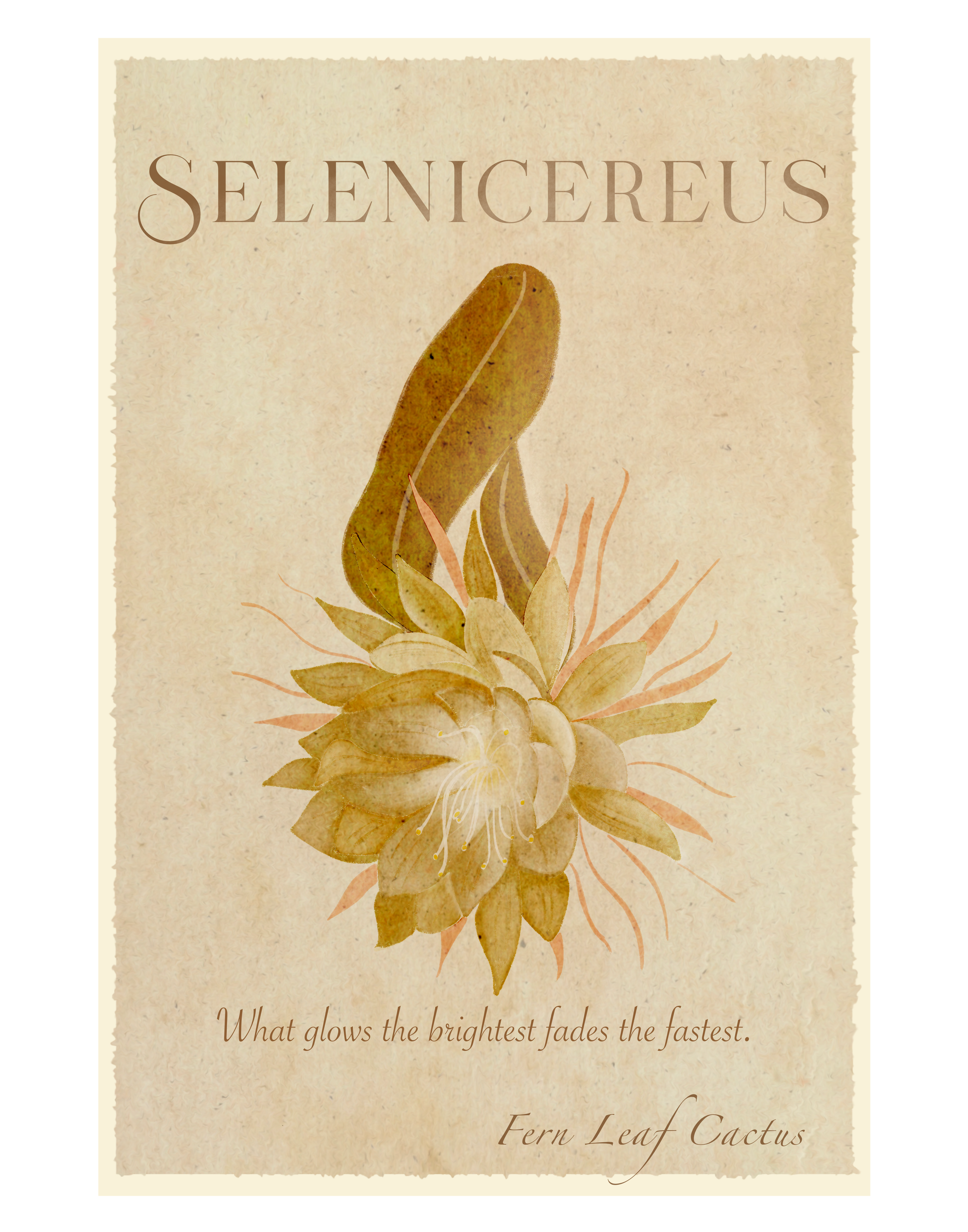 Vintage Floracle Collection 