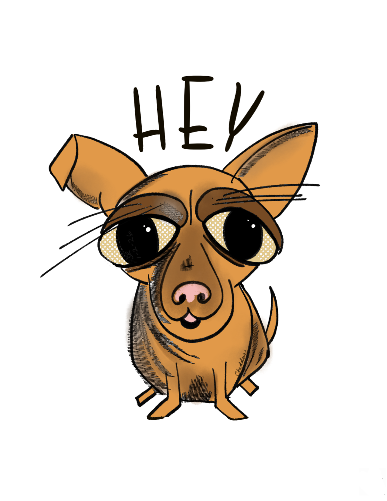 Cheddar Greeting Card Collection