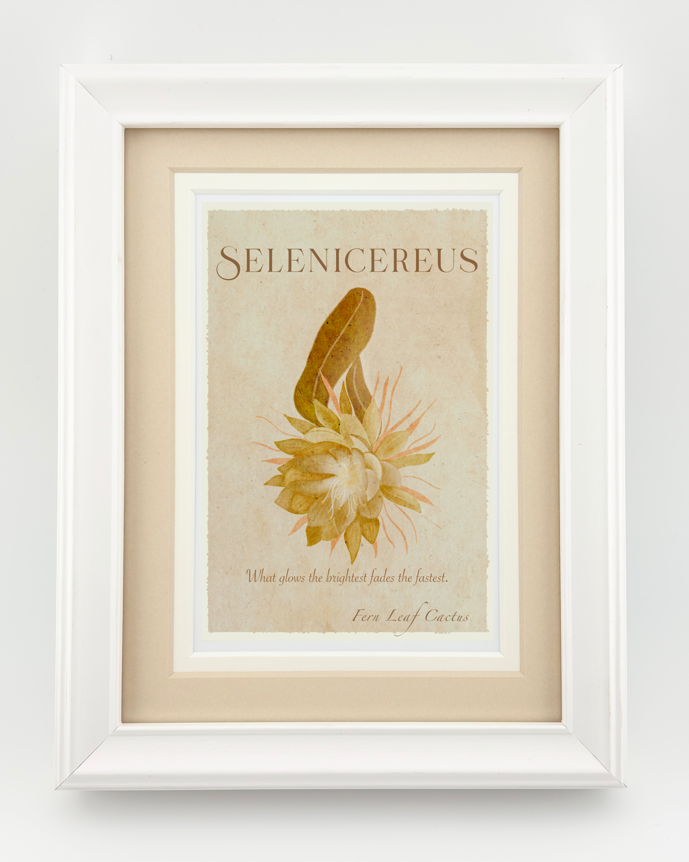 Selenicereus Spiritual Oracle Art Print – Botanical Spiritual Wall Art