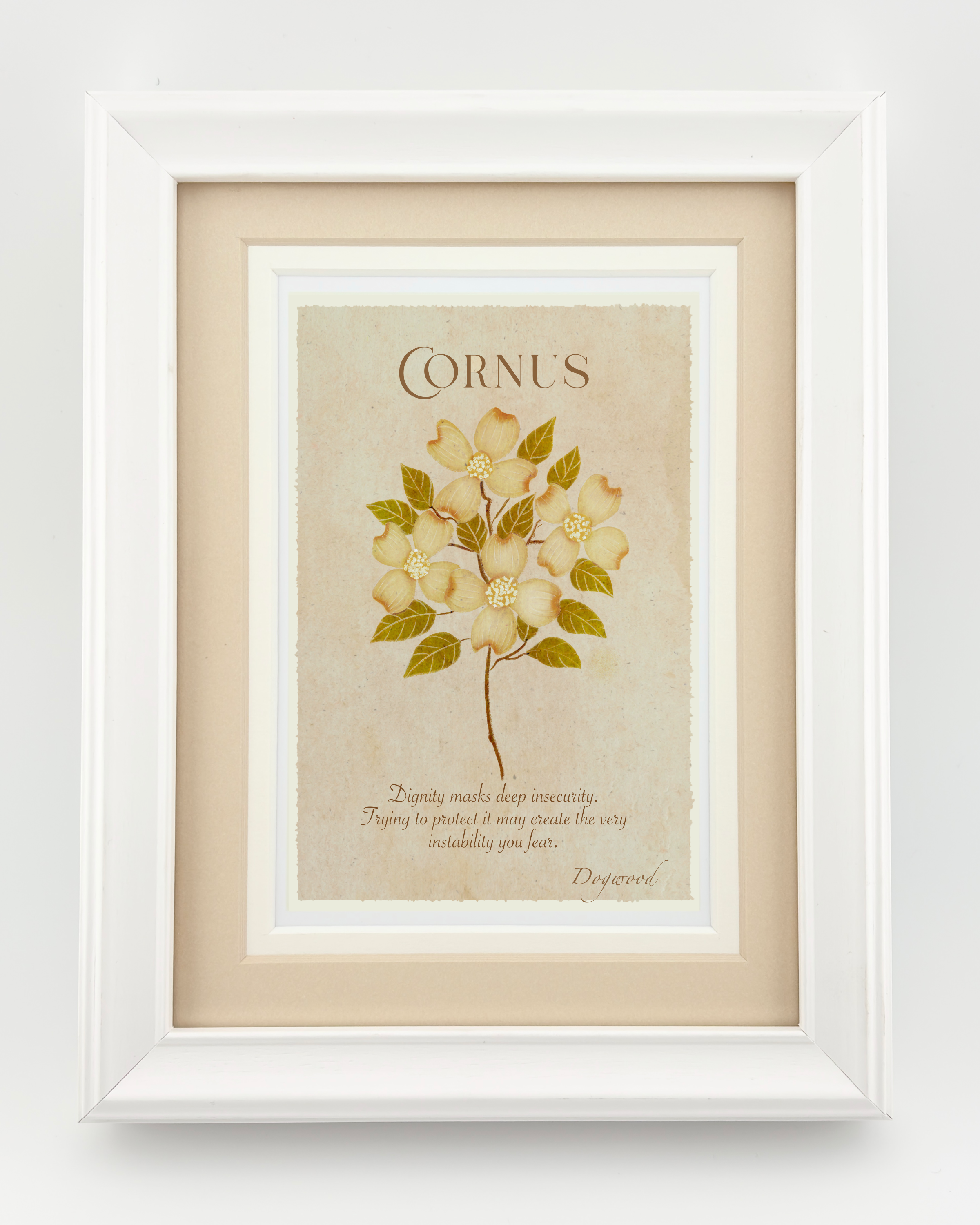 Dogwood (Cornus) Spirital Oracle Art Print