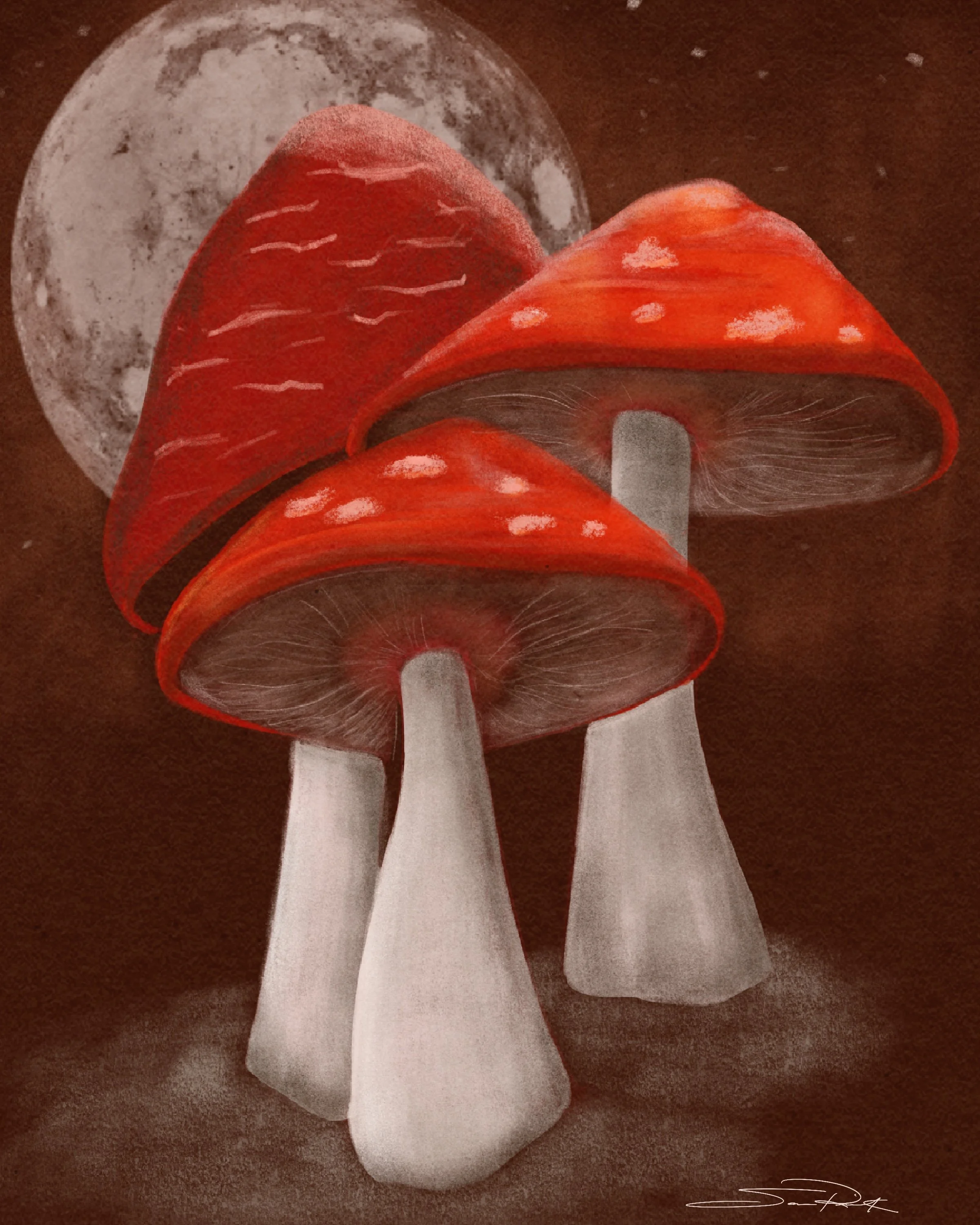 Dark_Mushroom_.jpg