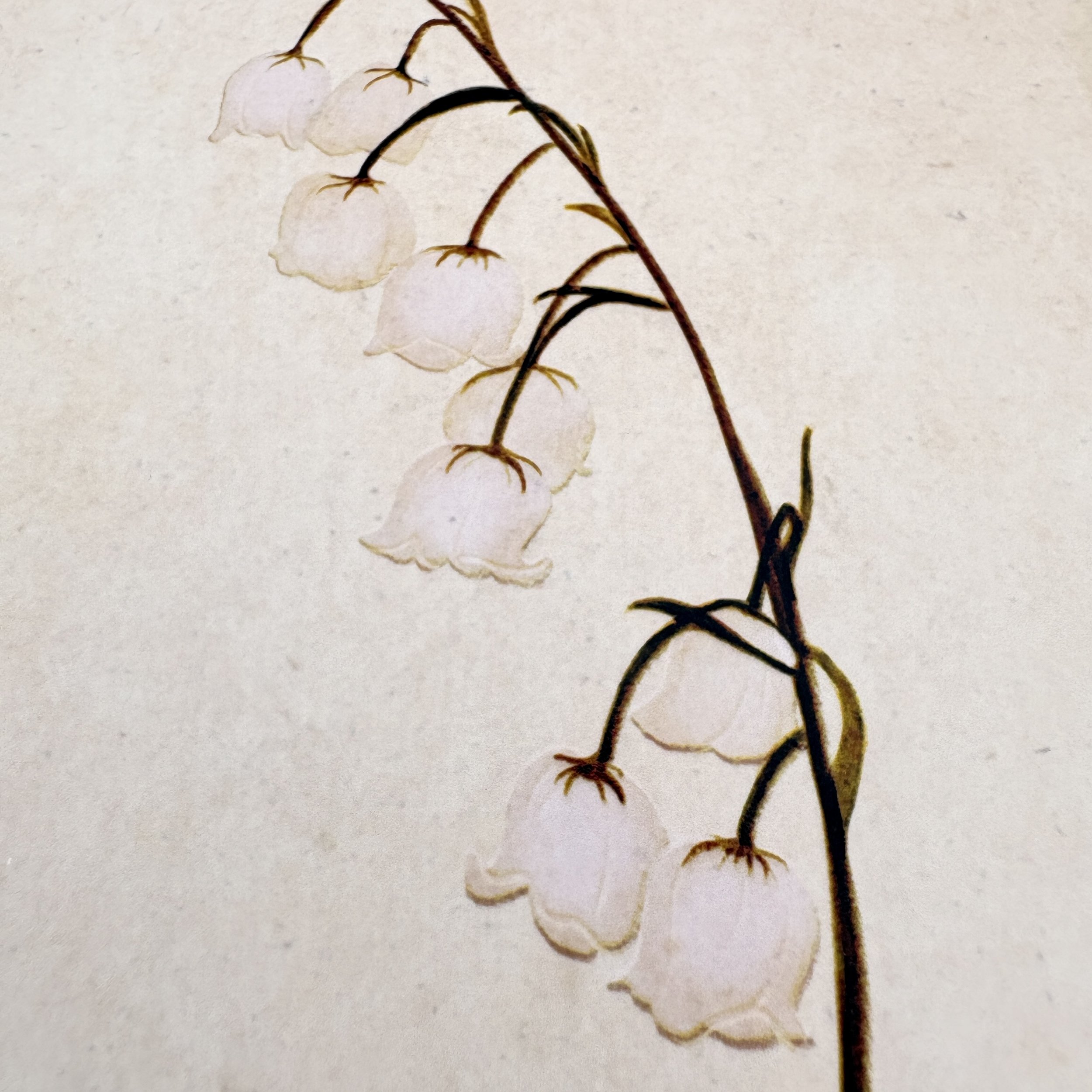 stylized lily of the valley with white flowers that almost blend into the neutral colored background with a dark, green to almost black stem.