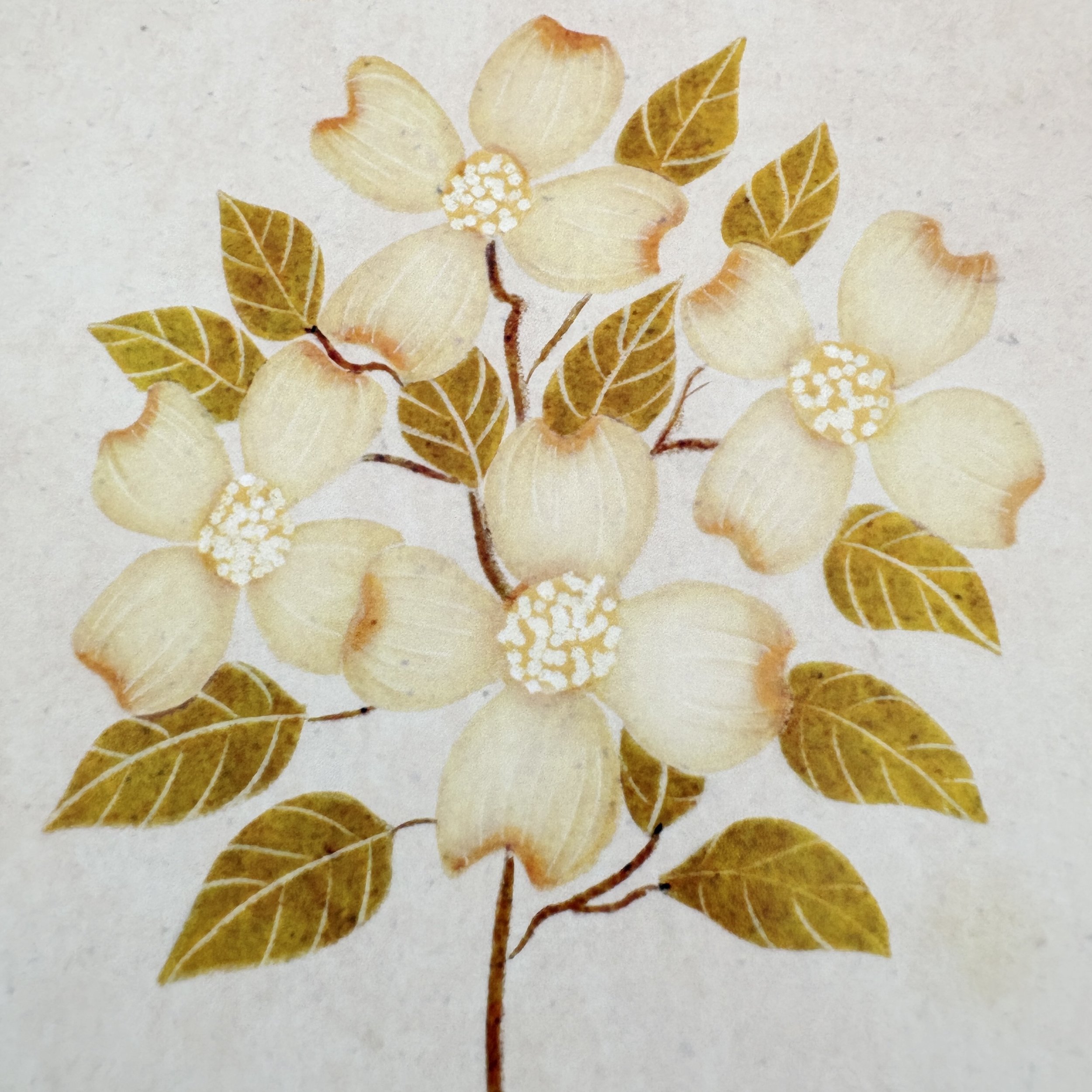 artistically styled dogwood illustration