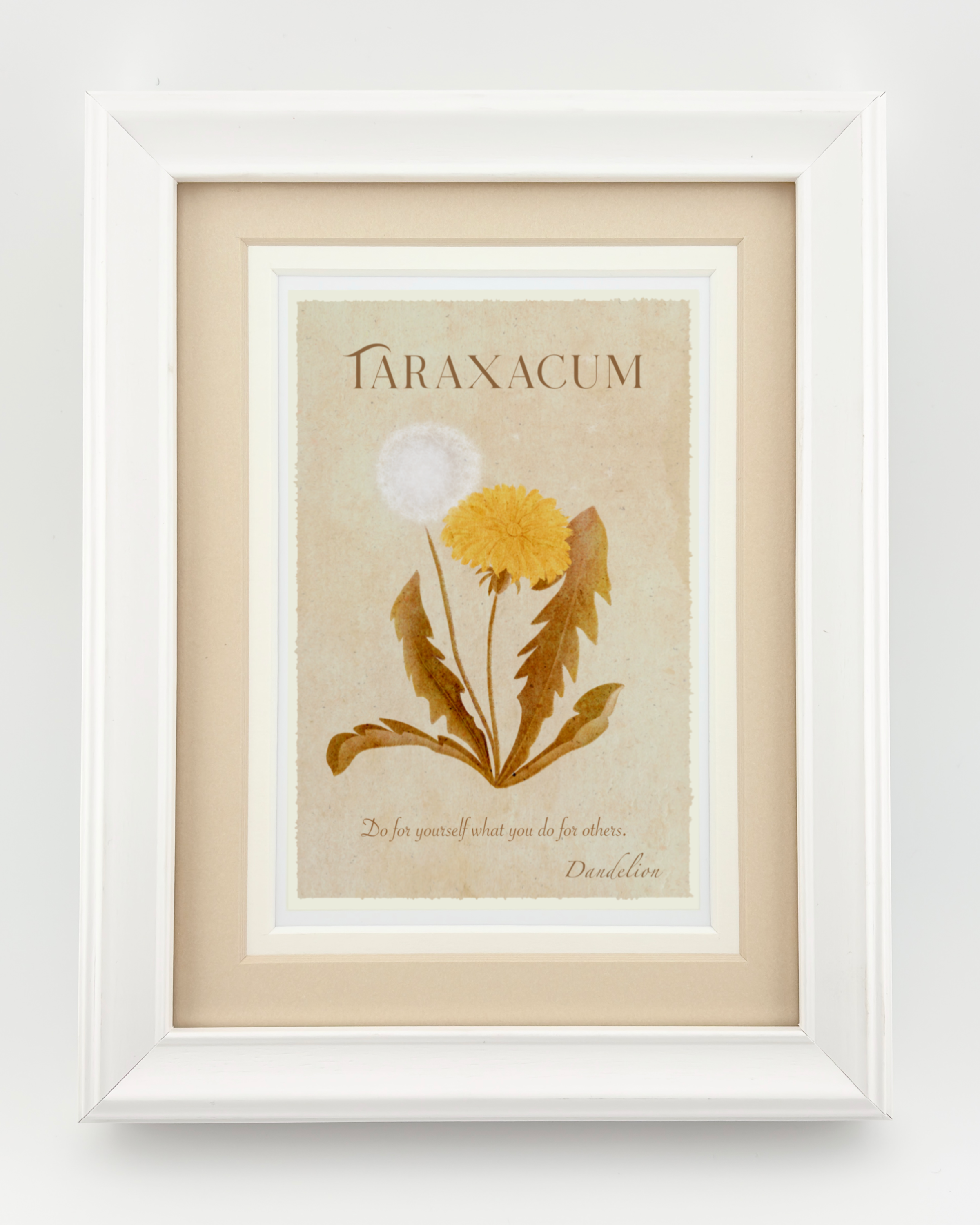 Dandelion (Taraxacum) Spiritual Oracle Art Print