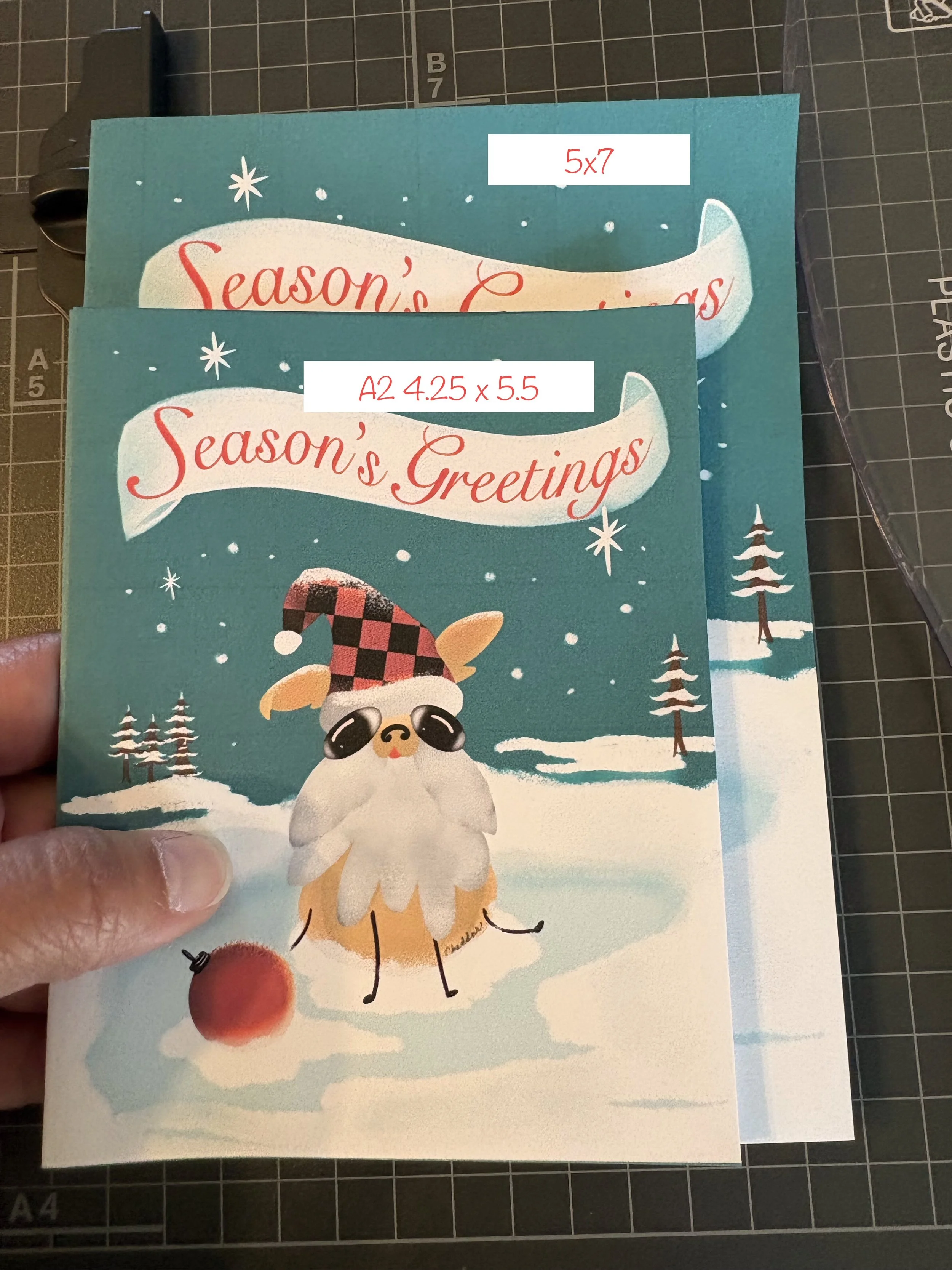 size differences.jpeg