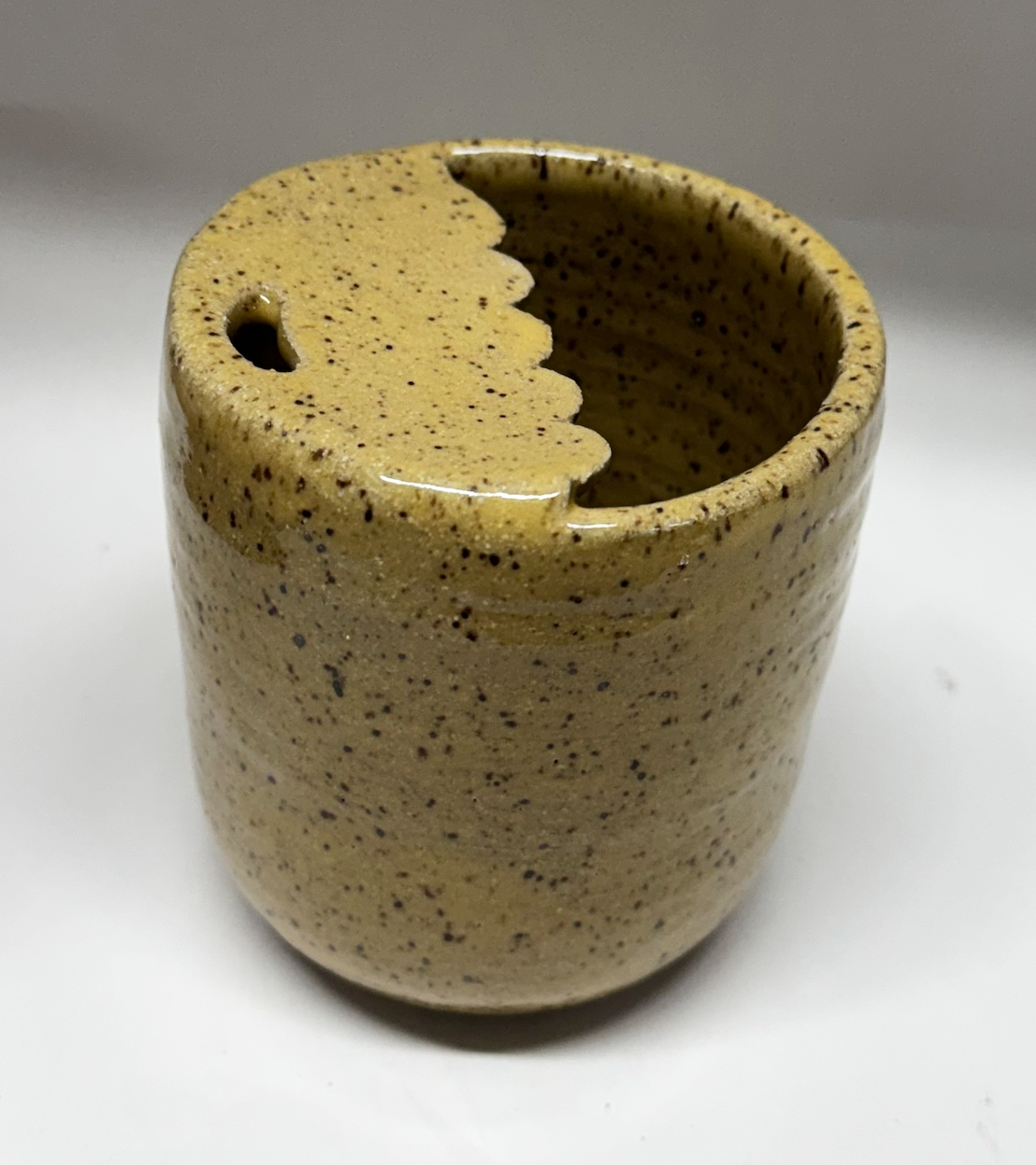 Scallop Sunshine To Go Cup