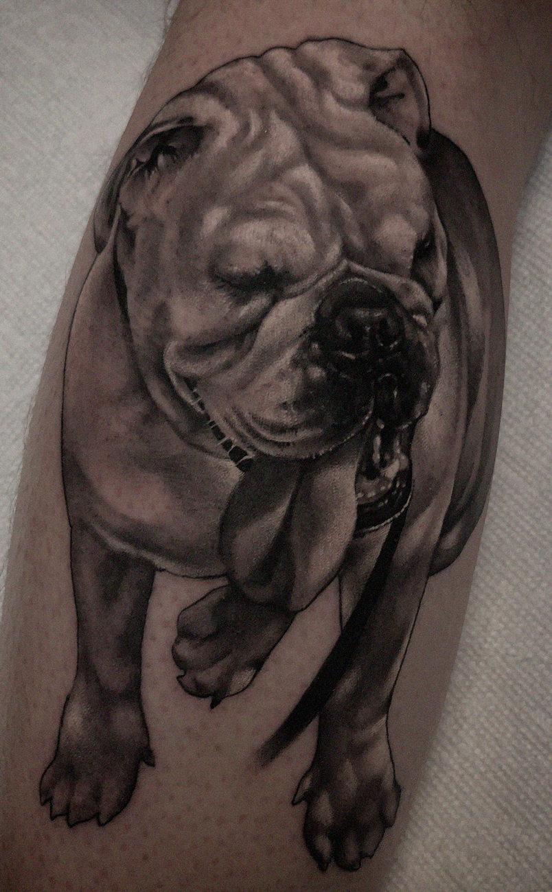 A realistic, black and gray portrait, tattoo memorial of a two dog that passed away dog portrait
