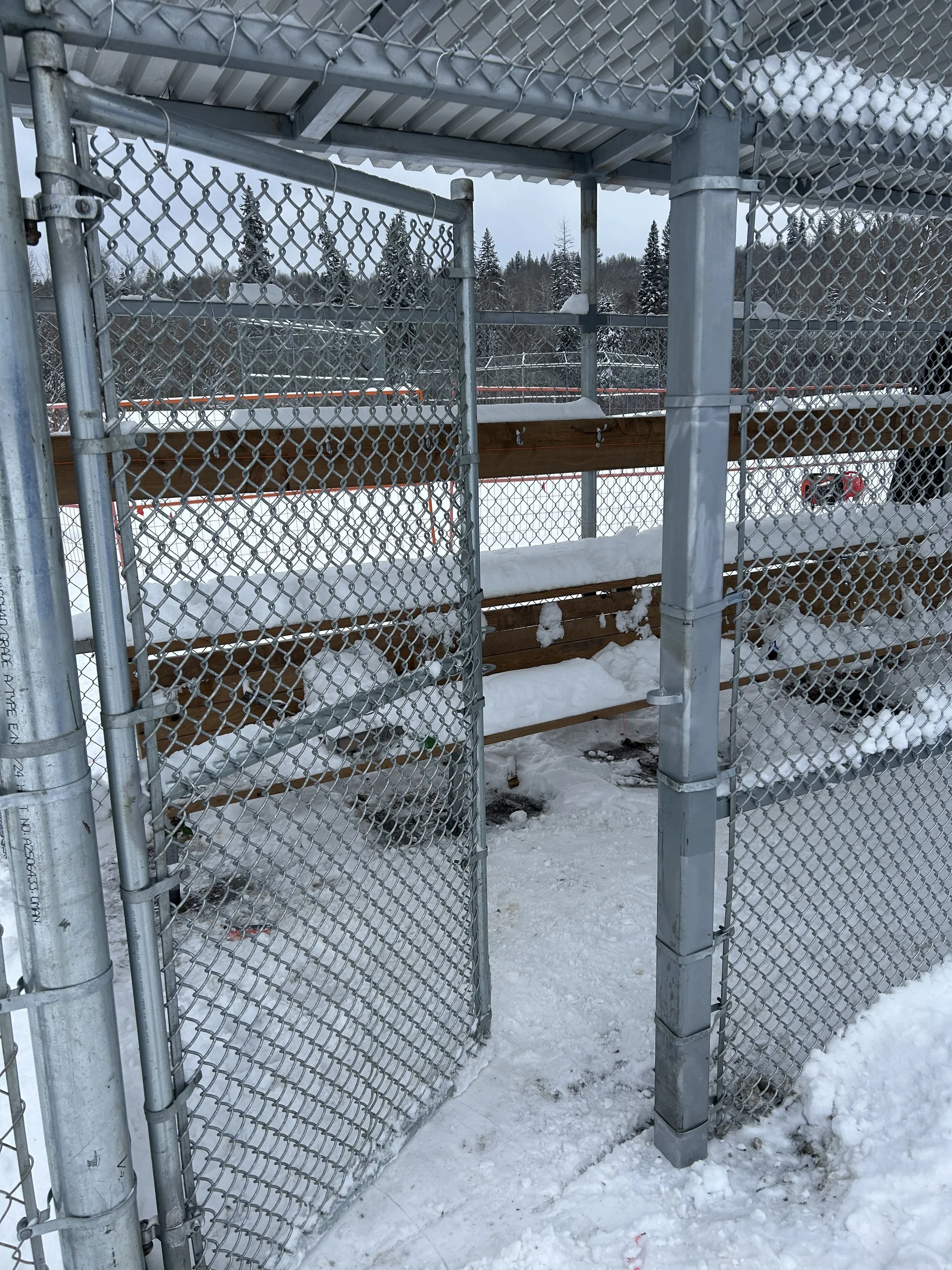 Photo 2026-01-06, 1 22 48 PM.jpg