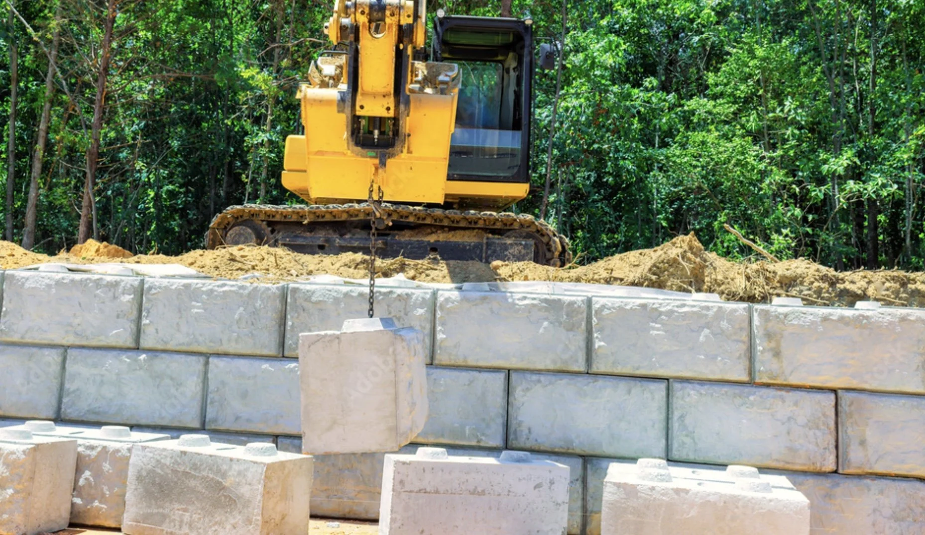 Image 2026-03-03 at 7.40 AM.jpeg