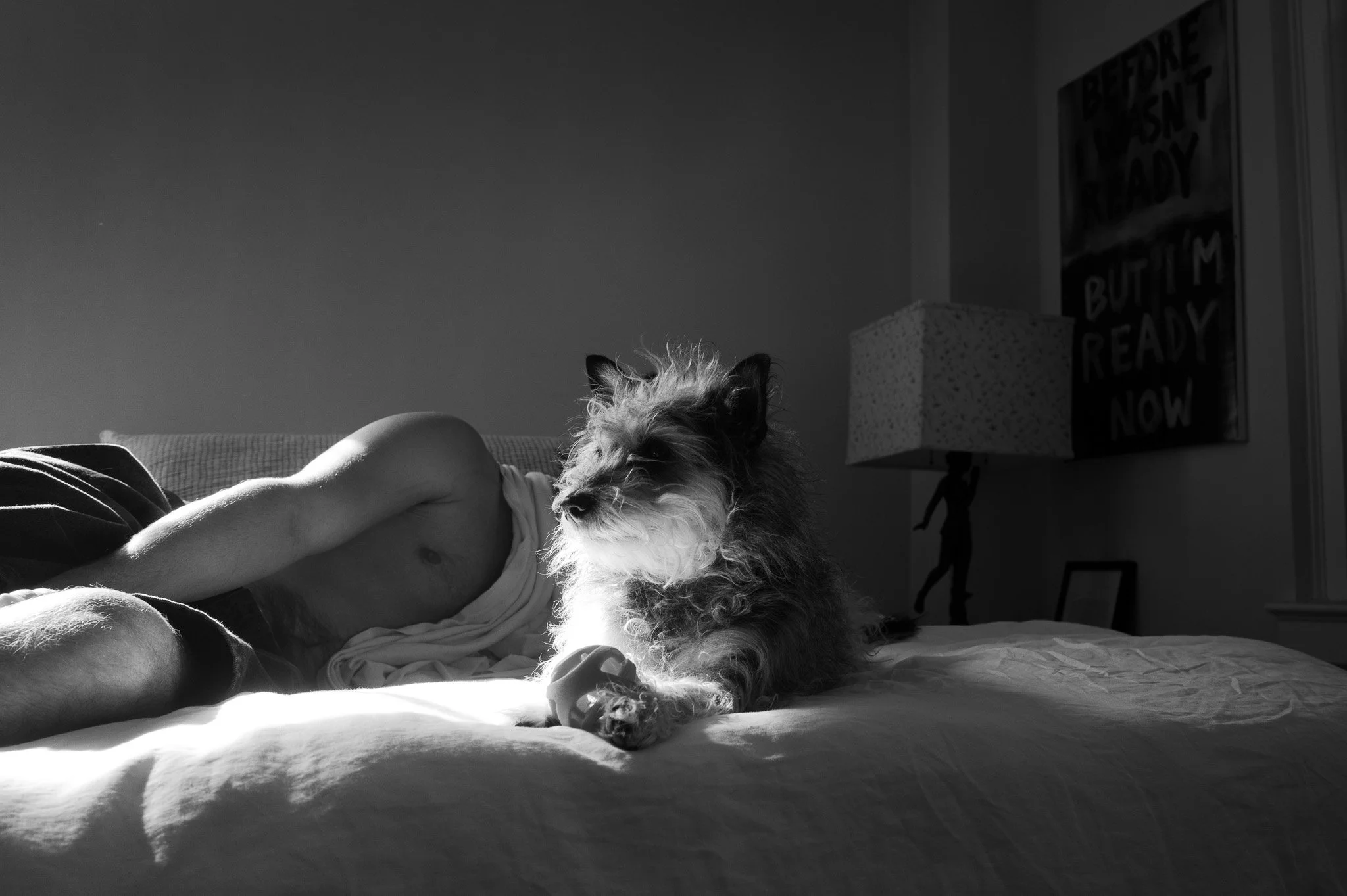 L1130025.jpg